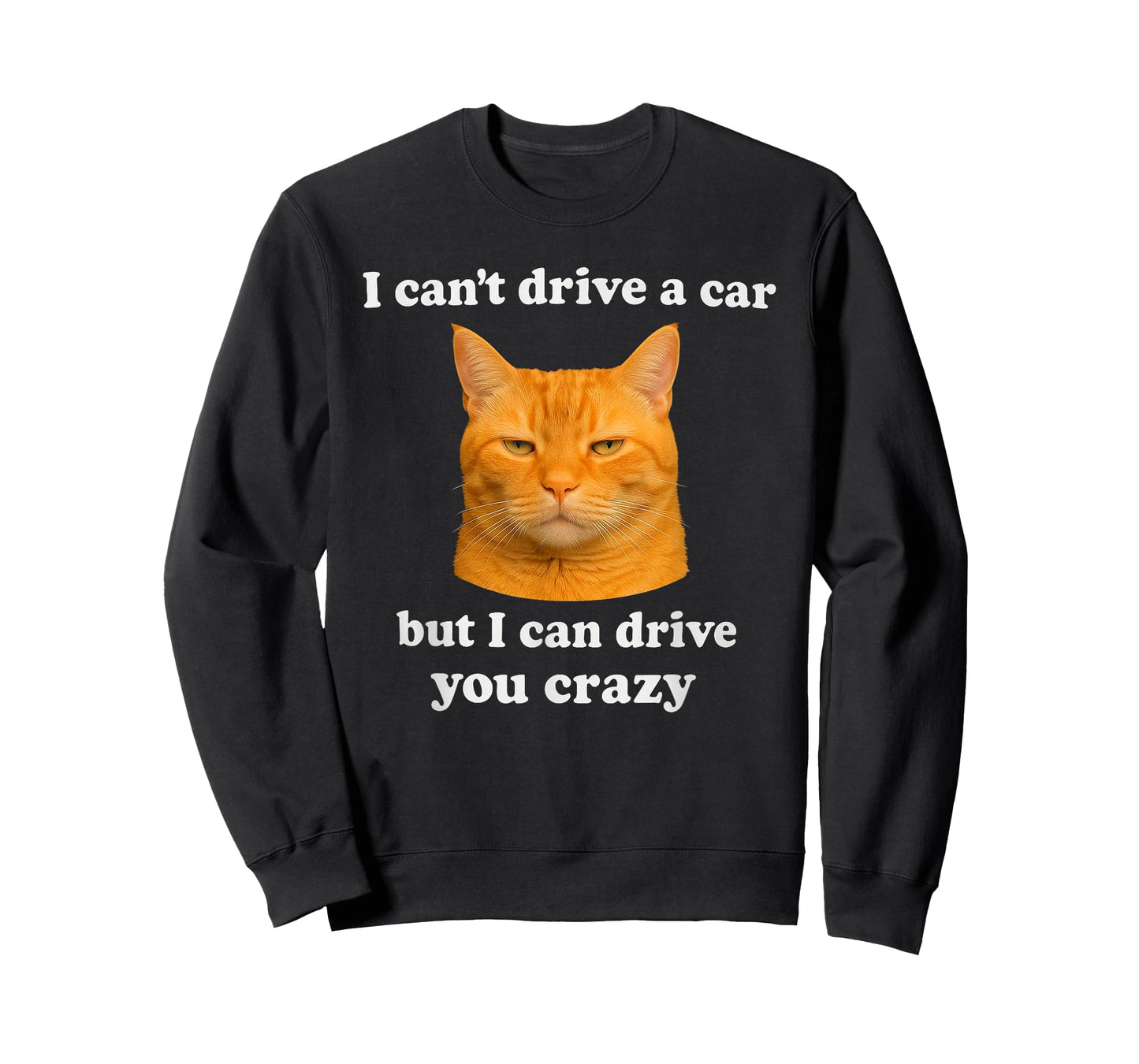 Funny cat Meme for boy Men Women Girl and Kids T-Shirt