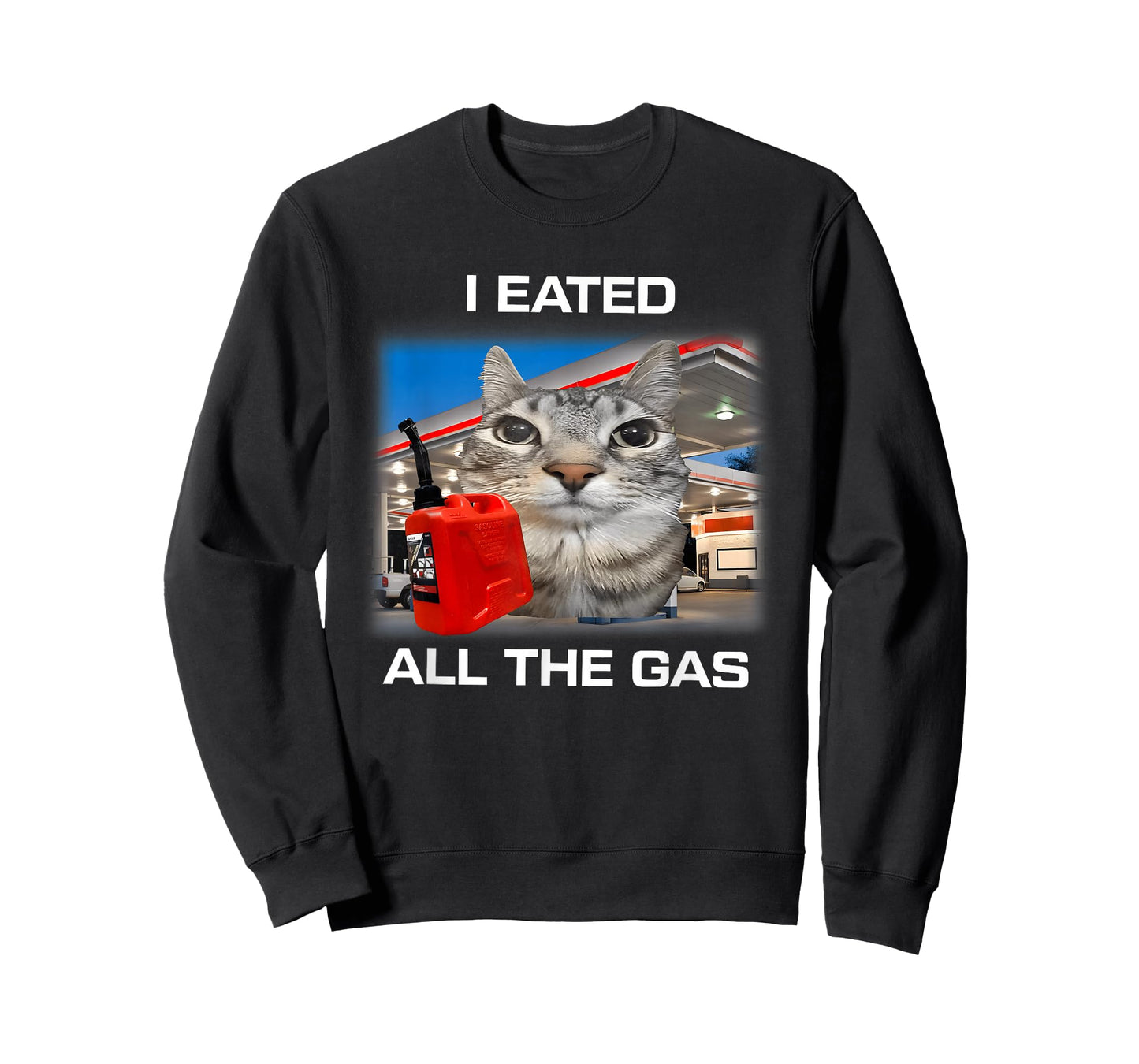 I Eated All The Gas Cat Meme Gen Z Humor Y2k Kitten Meme T-Shirt