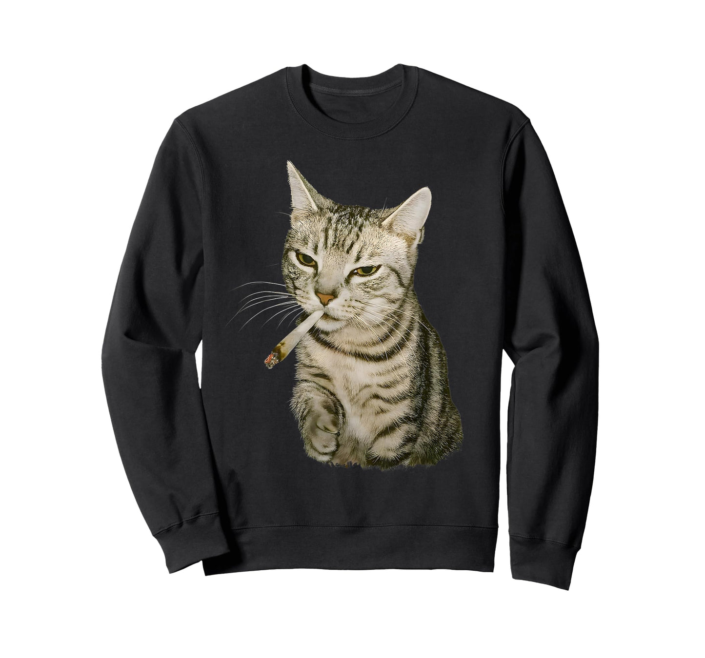 Funny Smoking Cat, Cigarette Kitty Gen Z Meme, Cat Lover T-Shirt