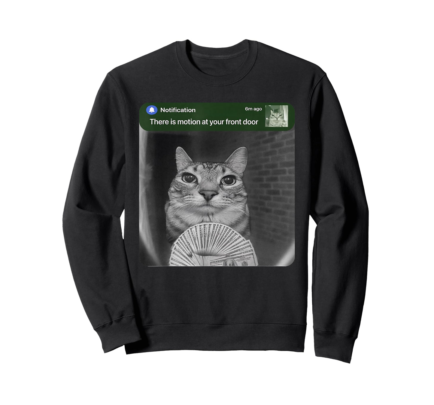 Ring Cat with Motion Meme T-Shirt