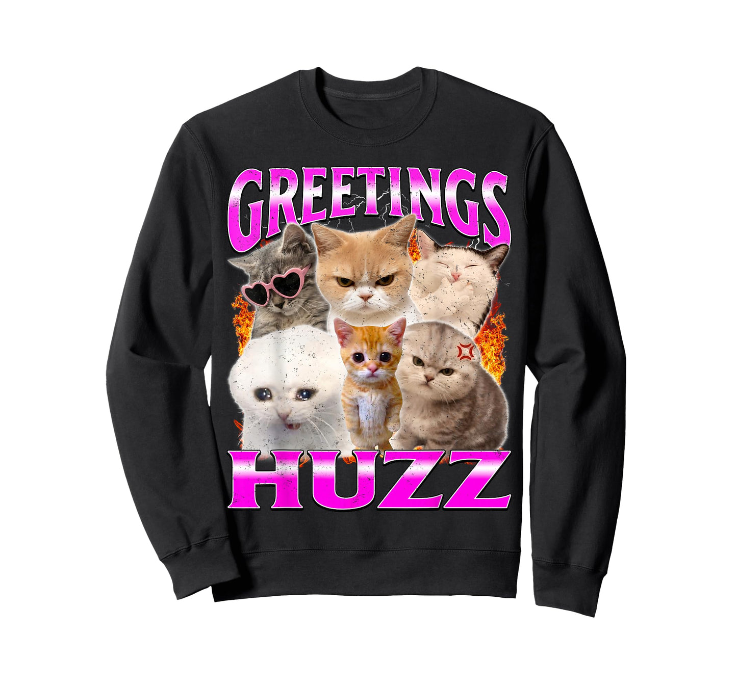 Greetings Huzz Funny Silly Cats Meme T-Shirt