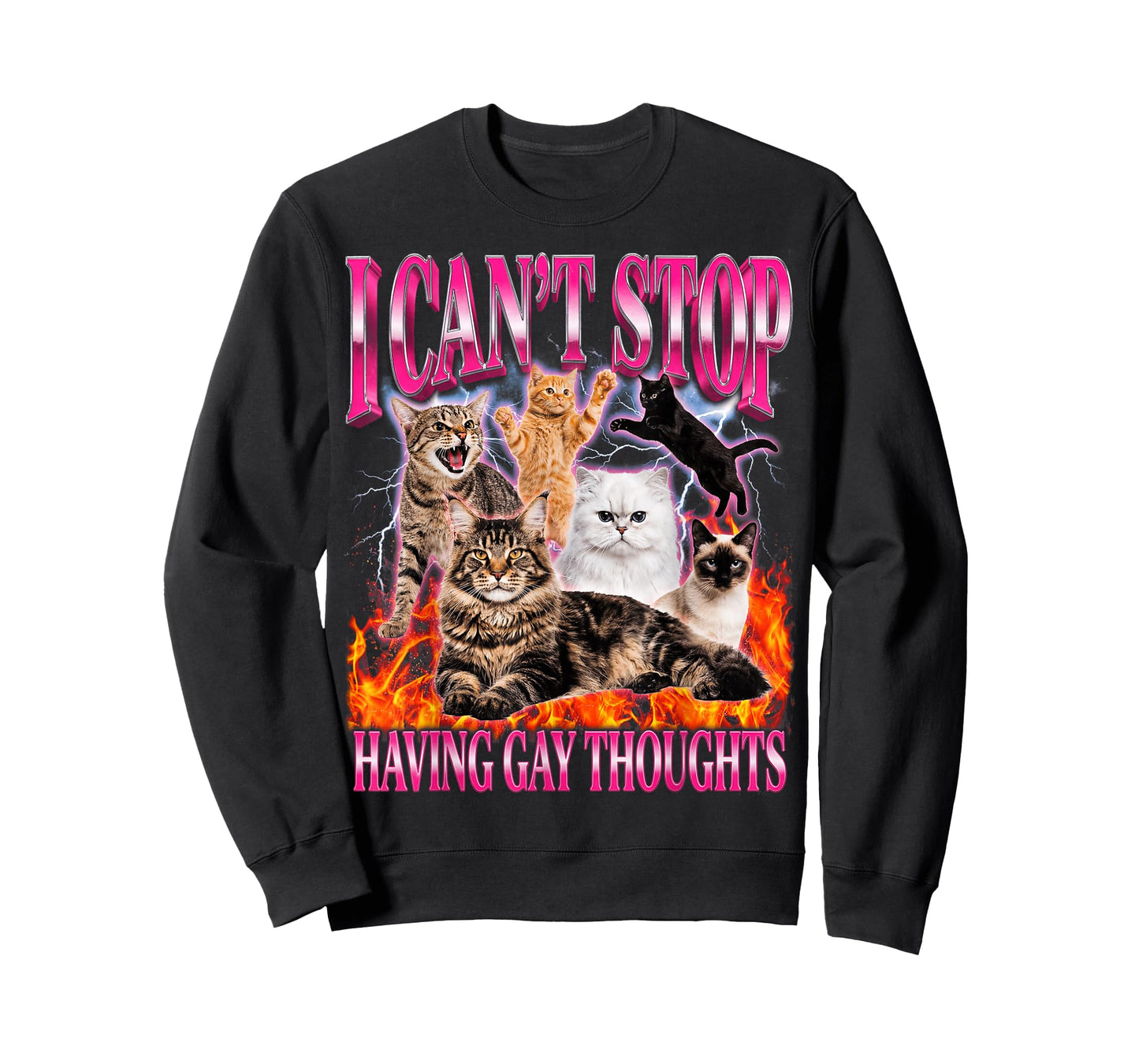 Funny Cat I Can't Stop Having Gay Thoughts LGBTQ Pride T-Shirt