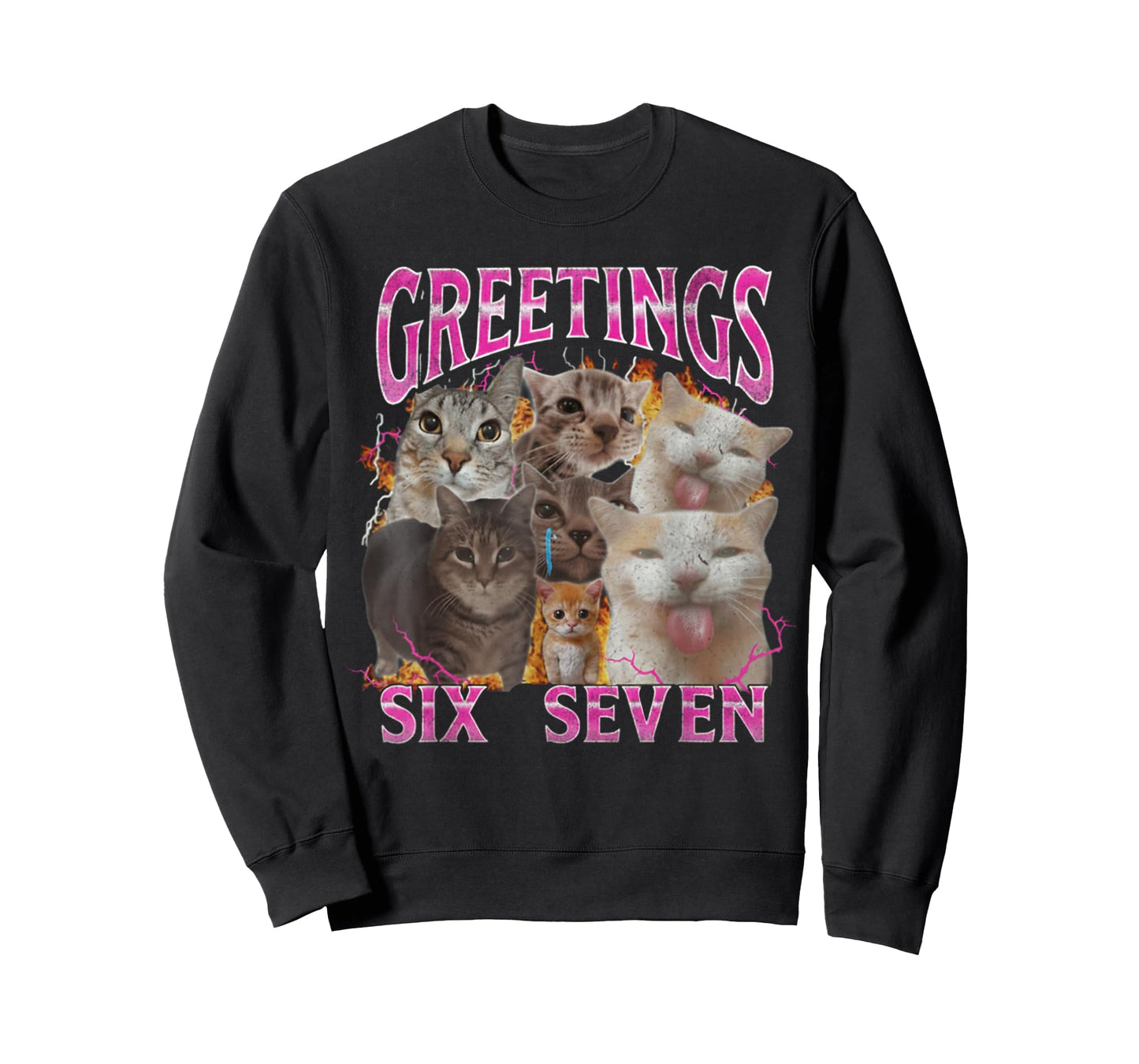 Greetings 67 Funny Cat Meme Funny Six Seven Meme T-Shirt