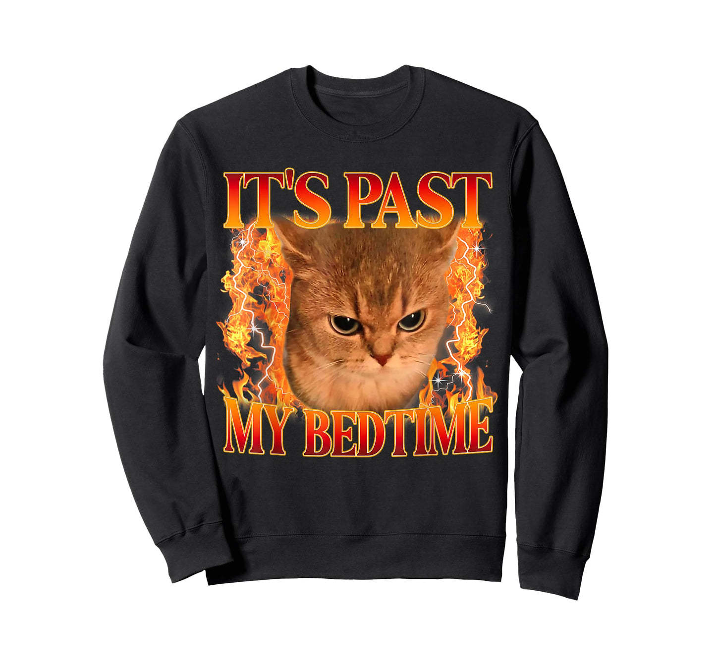 It's Past My Bedtime Funny Cat Meme Animals Humor Quote T-Shirt