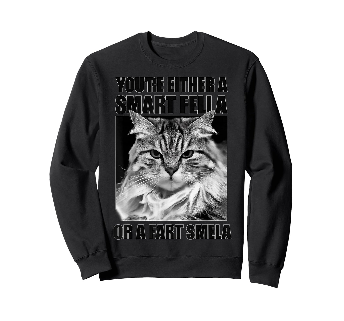 You're Either A Smart Fella Or A Fart Smella for Cats Lovers T-Shirt