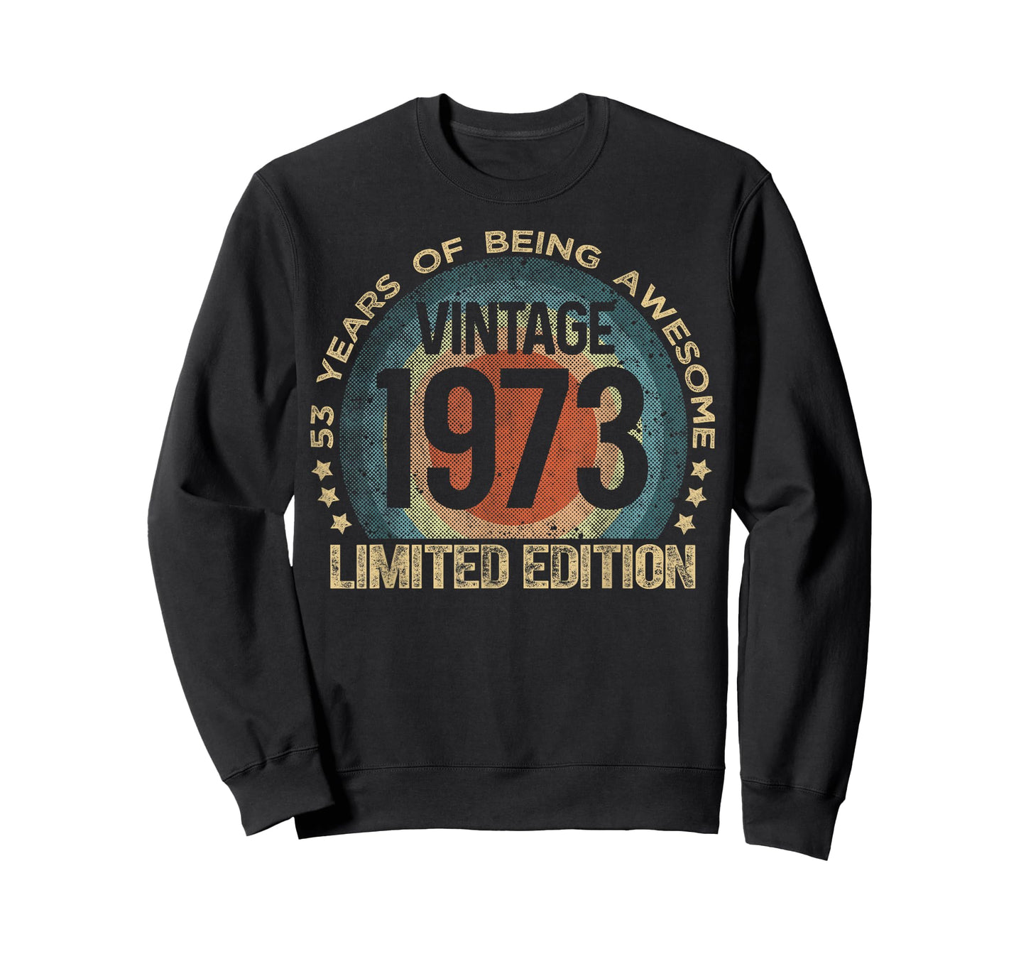 53 Year Old Gifts Vintage 1973 Limited Edition 53rd Birthday T-Shirt