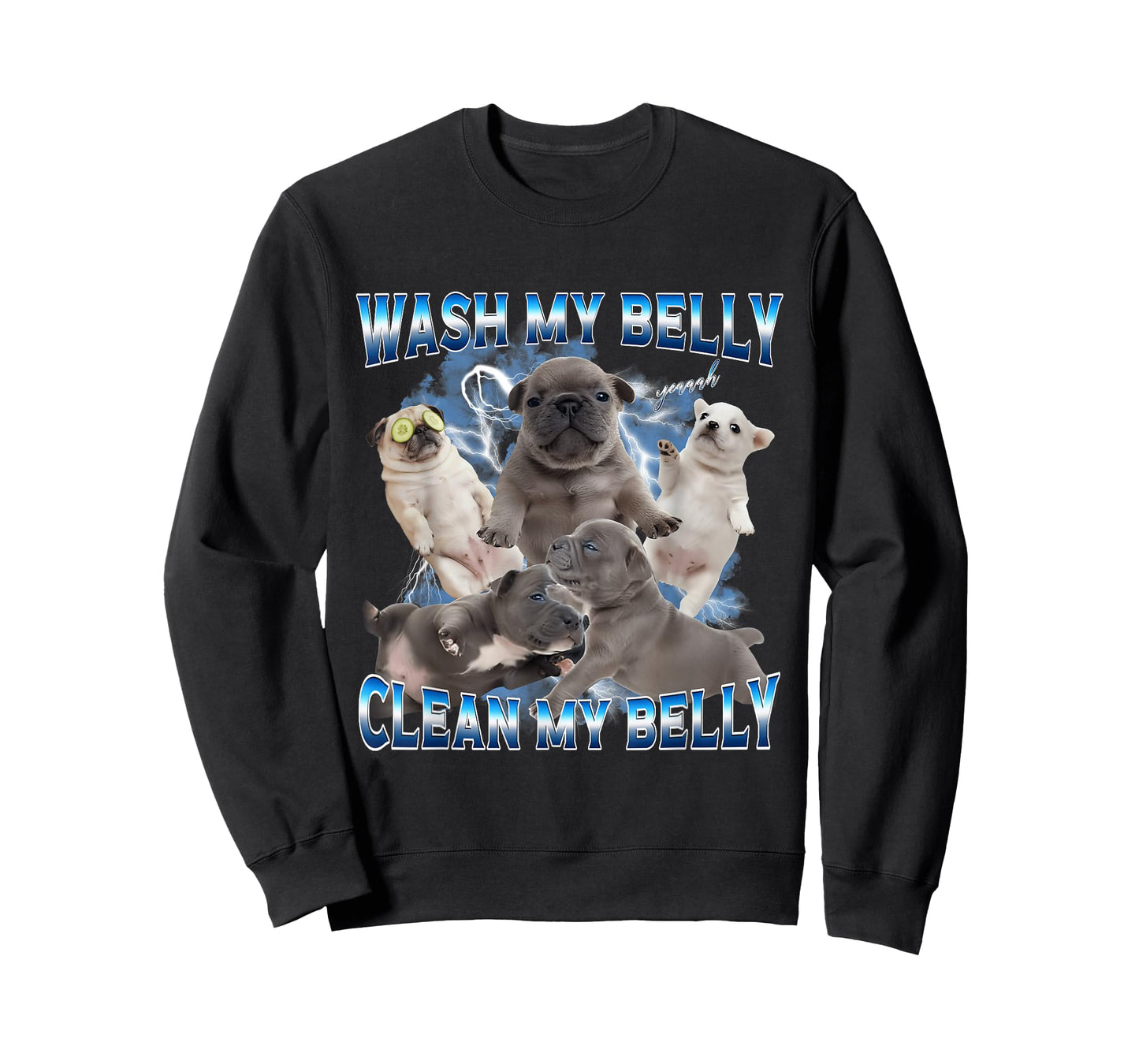 I'm Pibble Wash My Belly French Bulldog Brainrot Gen Z Meme T-Shirt