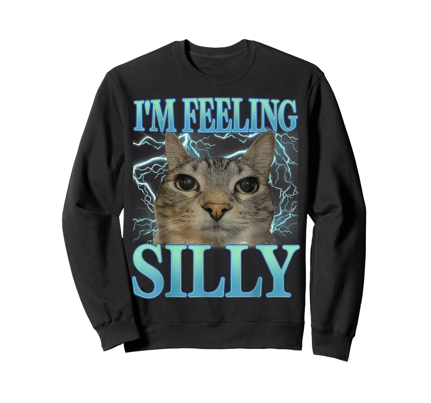 Funny Saying Cat Lover I'm Feeling Silly Cat Meme Humor T-Shirt