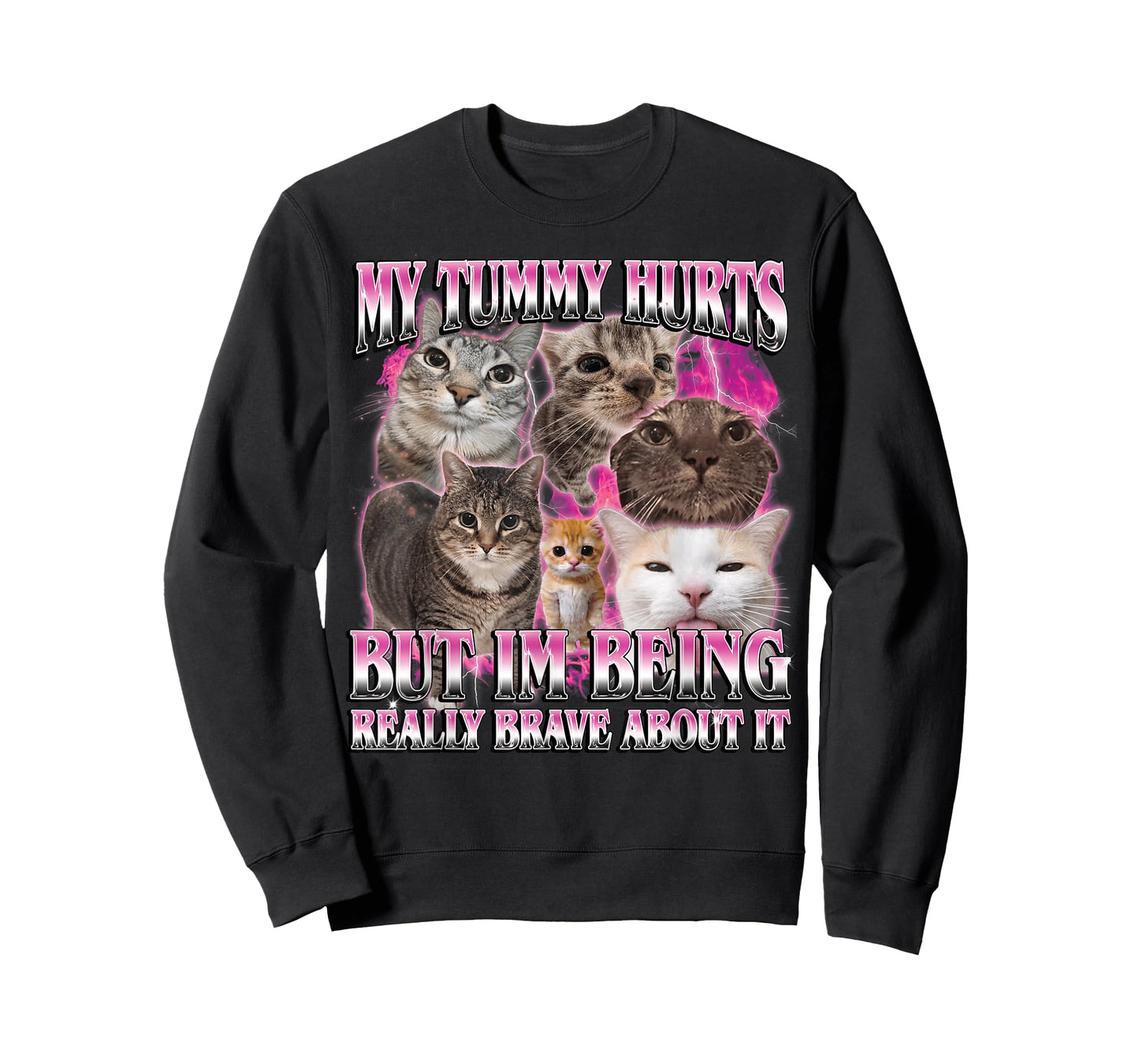 My Tummy Hurts Funny Brainrot Stupid Dank Cat Meme Graphic T-Shirt