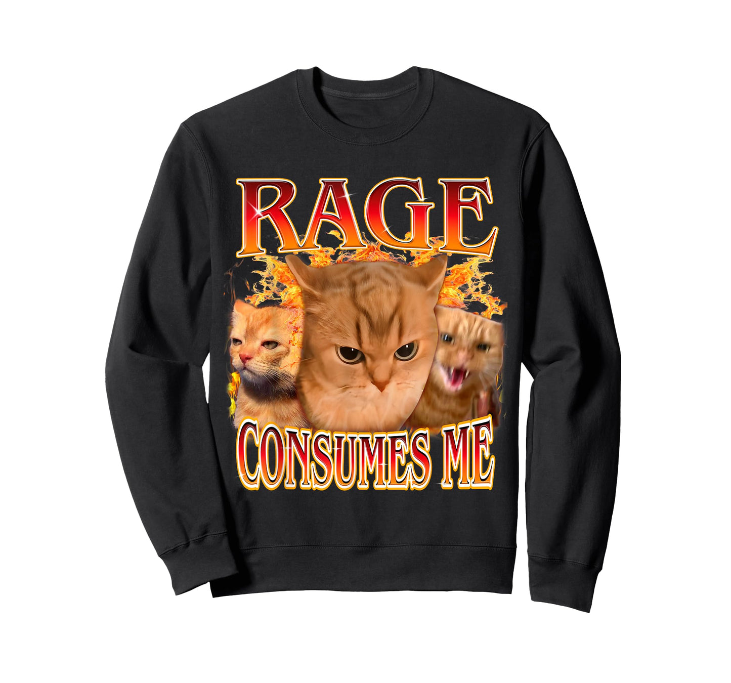 Funny Rage Consumes Me Silly Staring Cat Meme Women Men T-Shirt