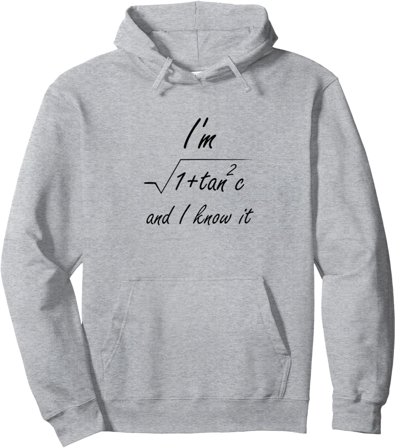 I'm Sec(c) and I Know It | Funny Nerdy Naughty Maths Science Hoodie - Hoodie | Ash