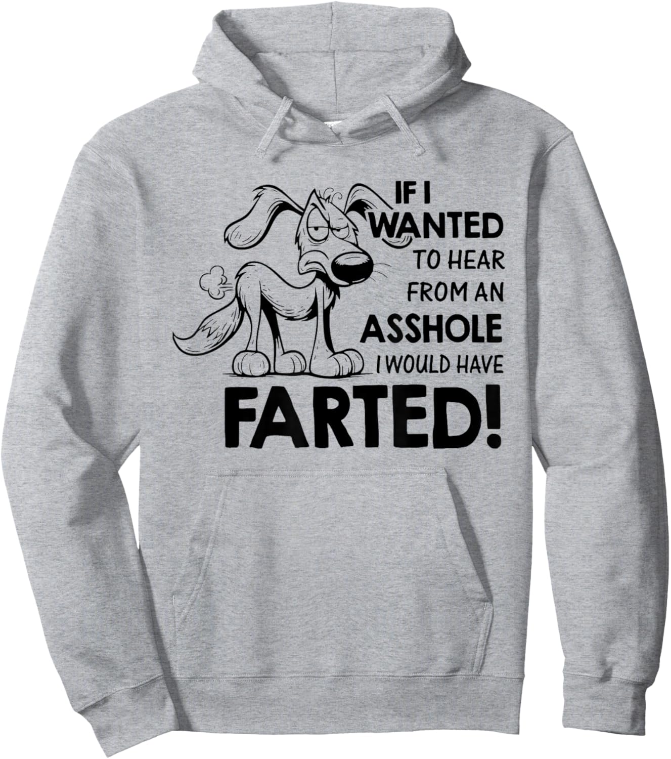 If I Wanted to Hear from an Asshole I Would Have Farted Hoodie - Hoodie | Ash