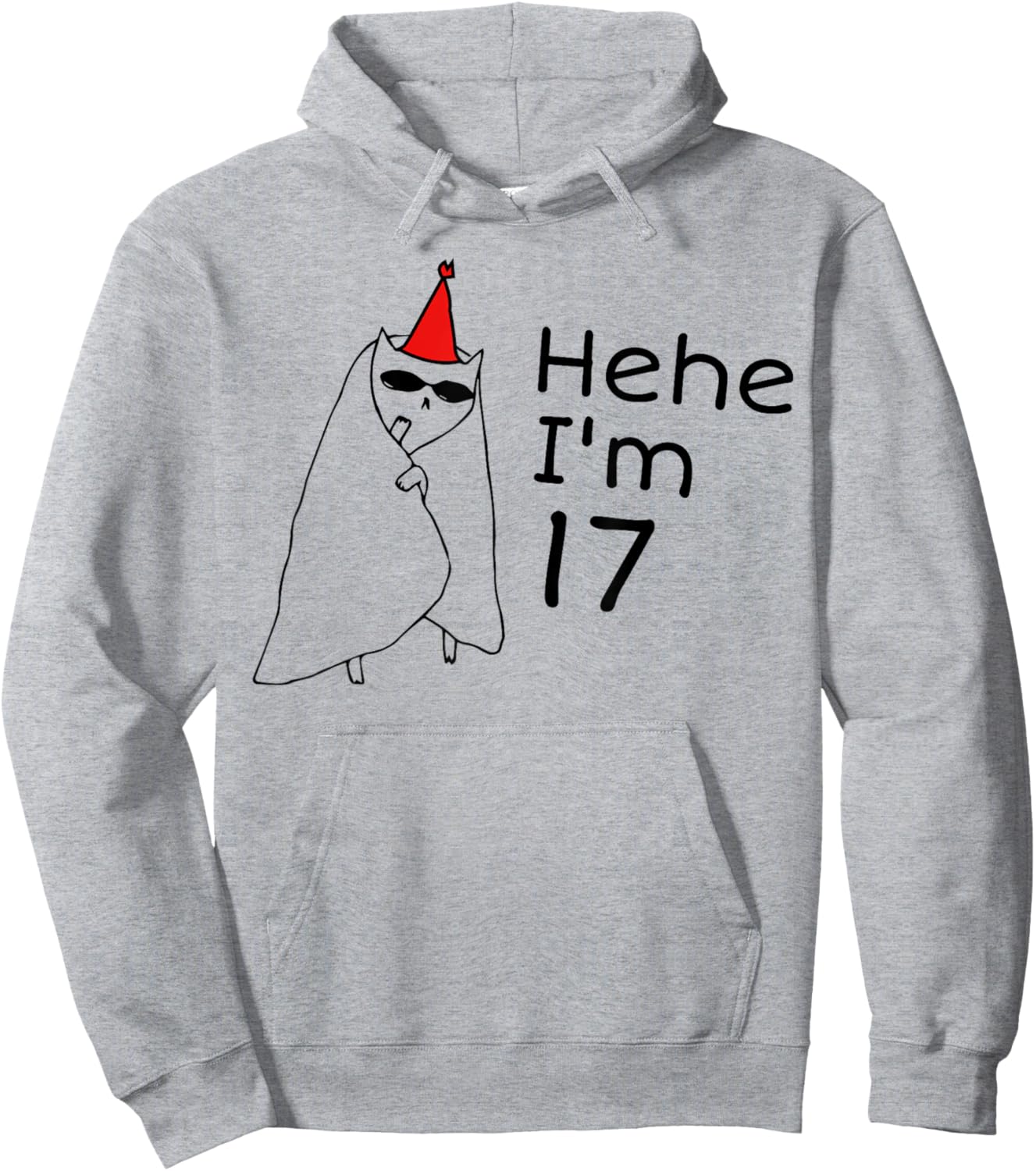 17th Birthday Party Funny 17 Years Old Birthday Teens Hoodie - Hoodie | Ash
