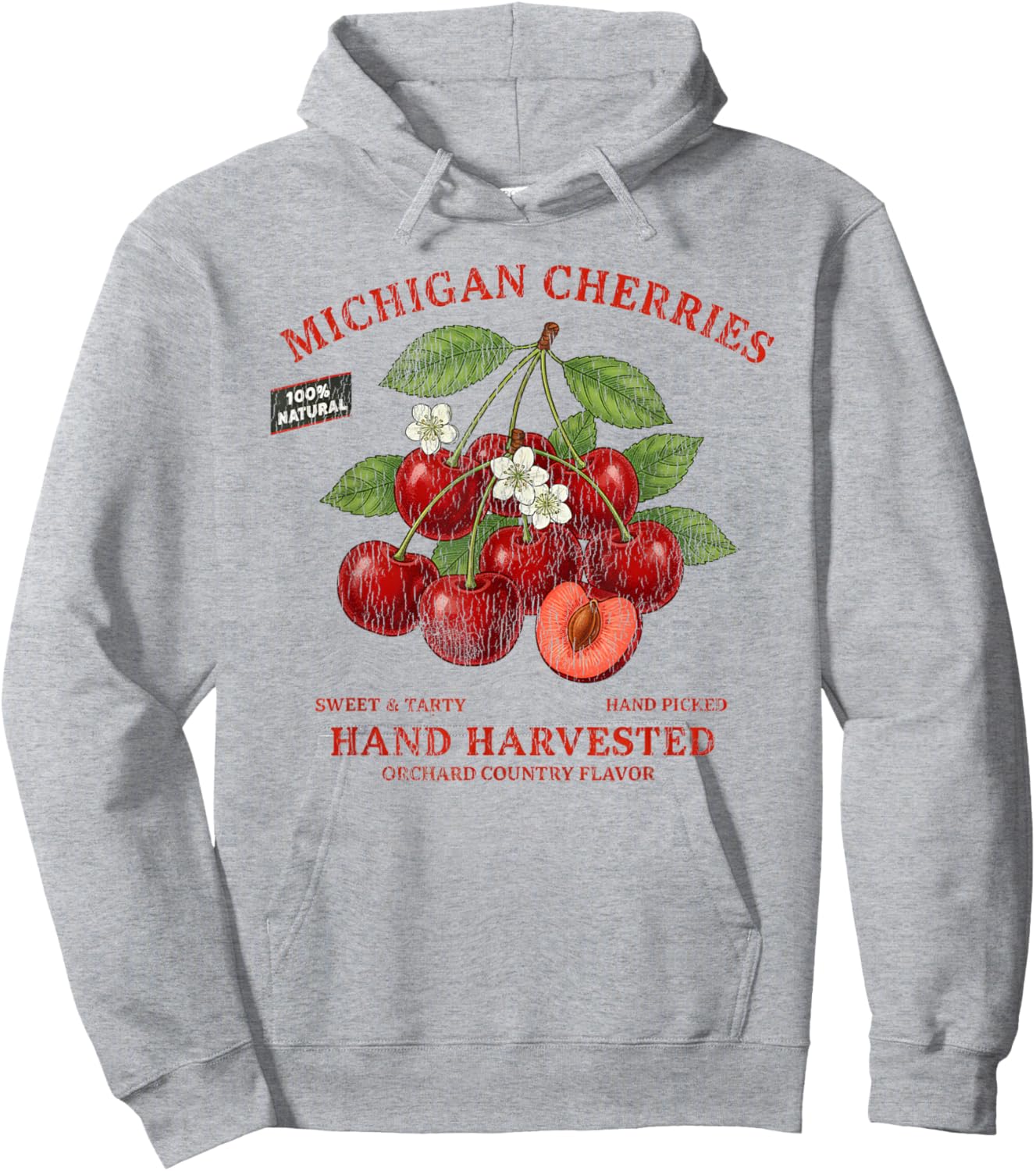Michigan Cherries Retro Fruit Label State Fruit Distressed Hoodie - Hoodie | Ash