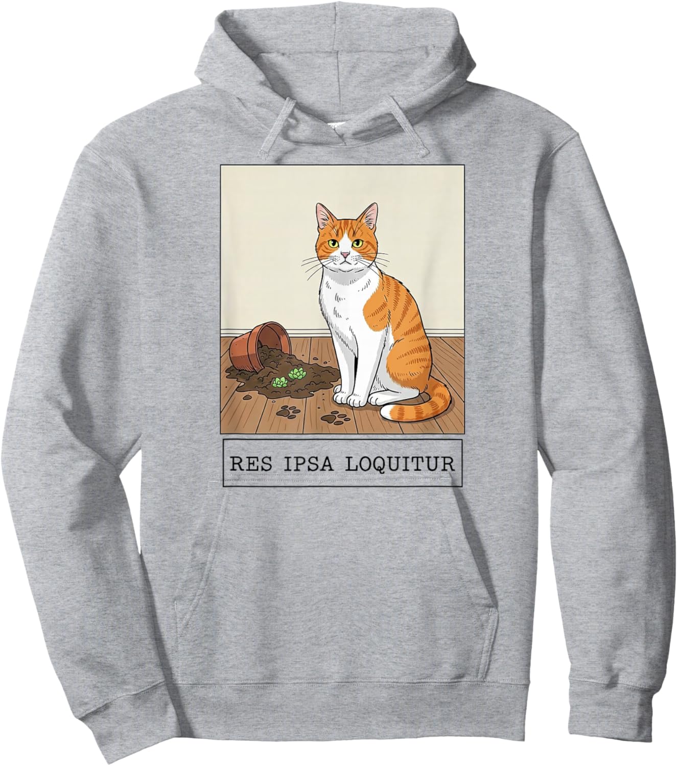 Res Ipsa Loquitur Cat Meme Hoodie - Hoodie | Ash