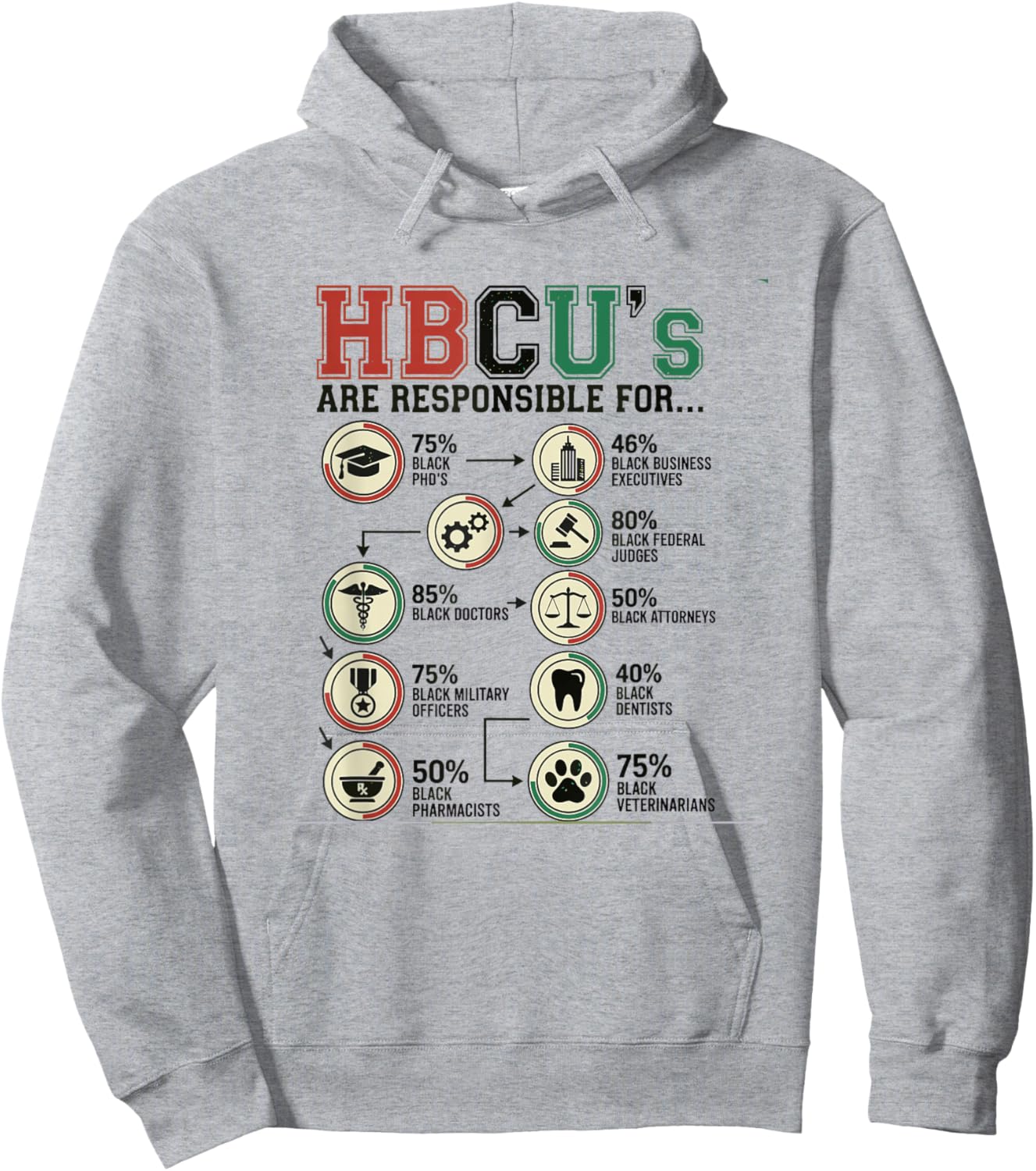 HBCU's Responsible for Black Excellence Alumni Students Hoodie - Hoodie | Ash
