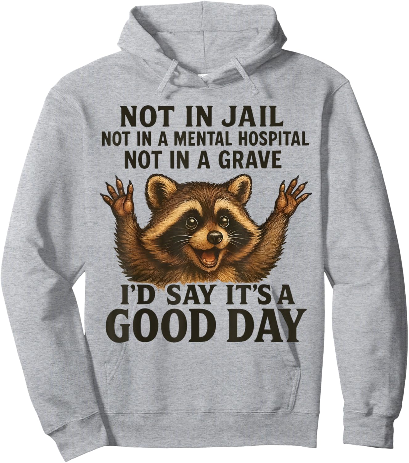Raccoon Not in Jail Not in A Mental Hospital Funny Saying Hoodie - Hoodie | Ash