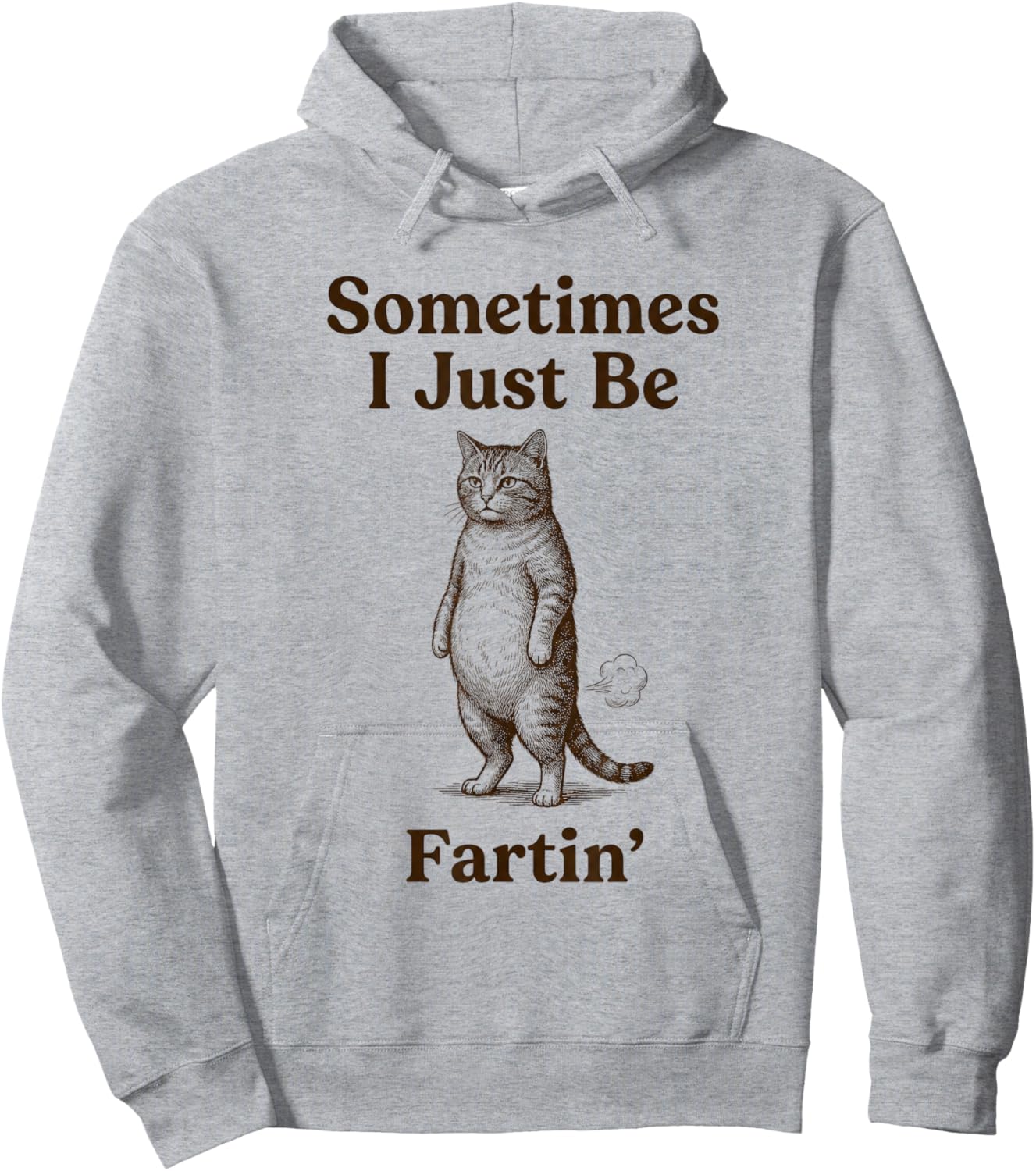 Cat Sometimes I Just Be Fartin Meme Style Hoodie - Hoodie | Ash