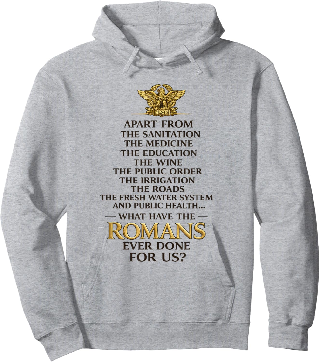 Ancient Rome Humor Classical History Buff Funny Civilization Hoodie - Hoodie | Ash
