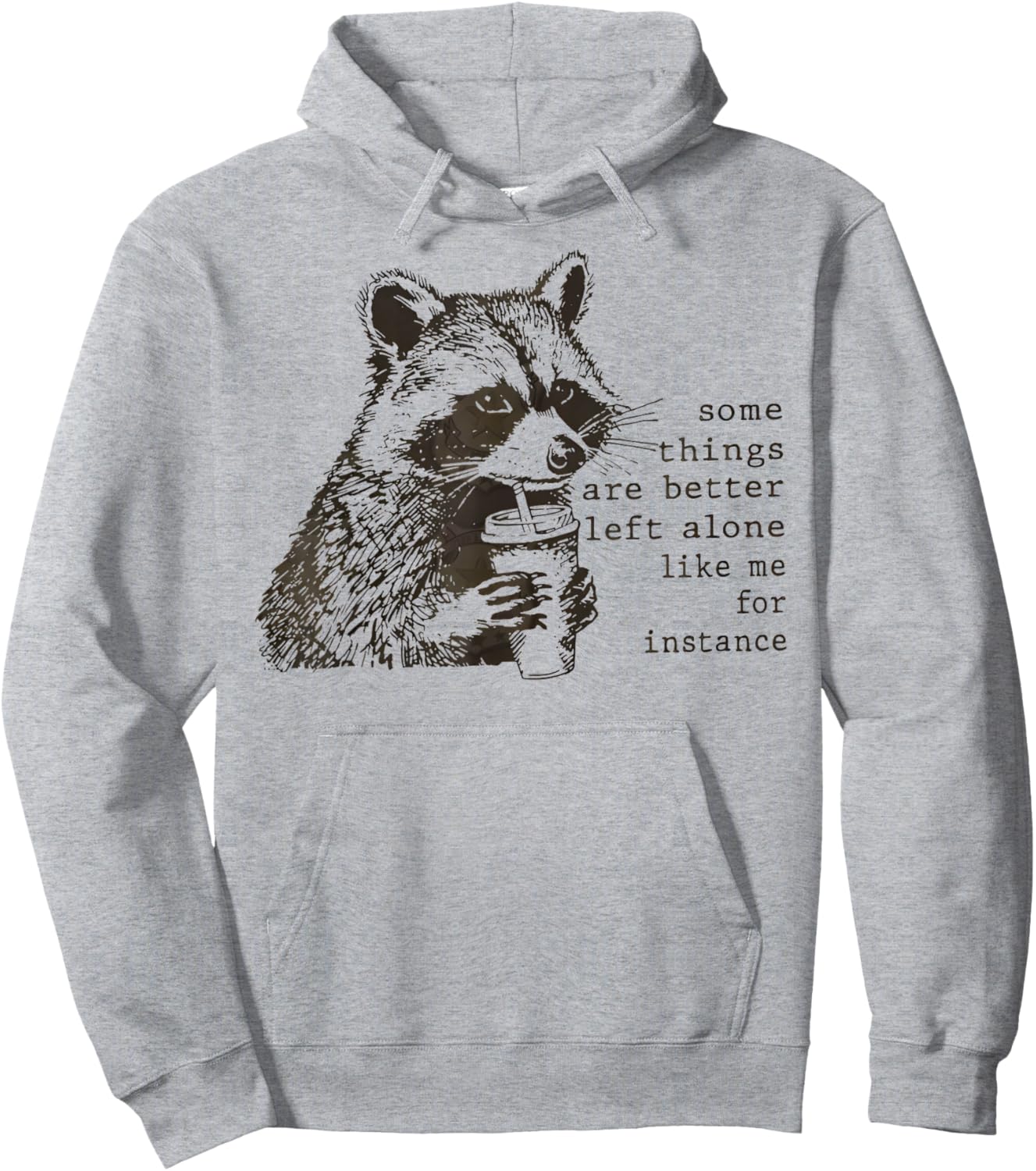 Retro Some Things are Better Left Alone Raccoon Hoodie - Hoodie | Ash