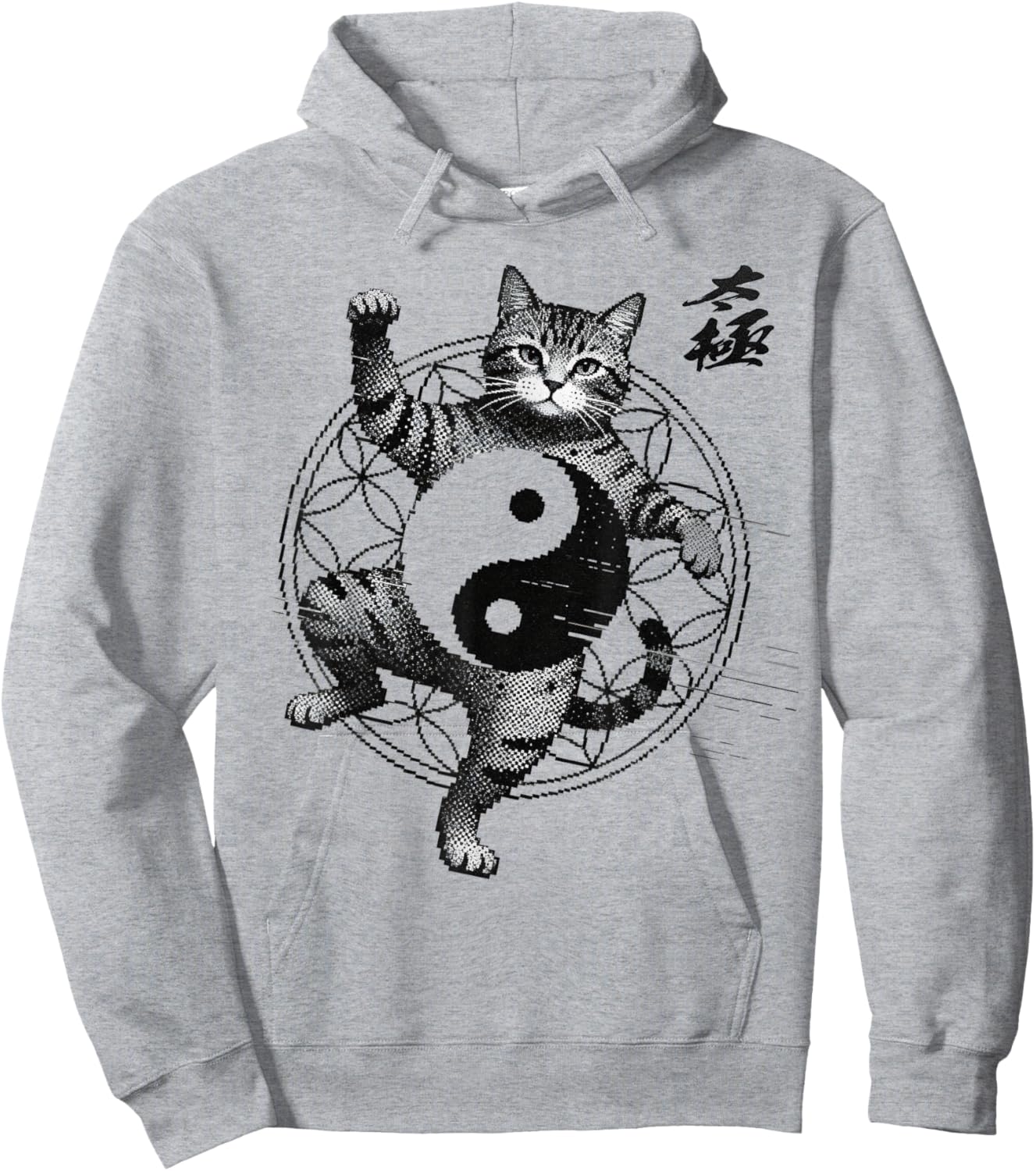 Funny Cat Demonstrating Tai Chi Martial Arts Yin Yang Glitch Hoodie - Hoodie | Ash