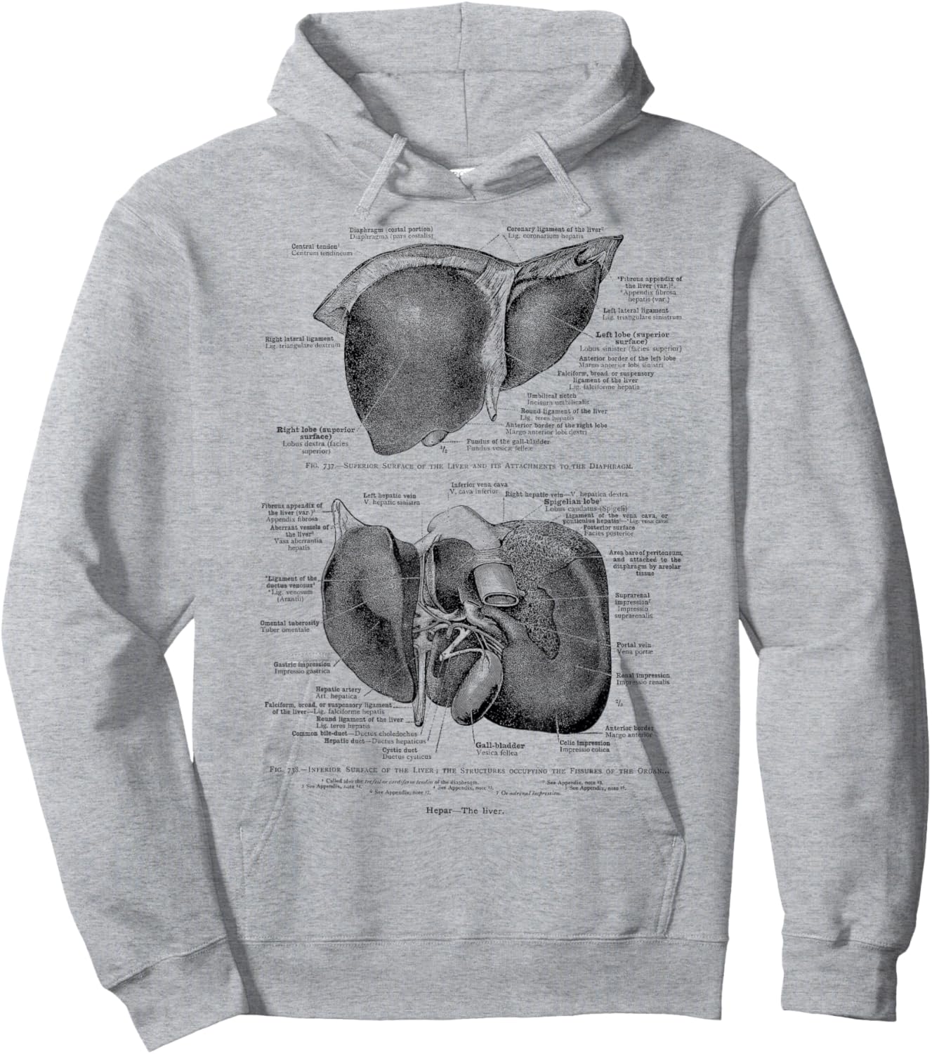 Human Liver Vintage Anatomy Anatomical Liver Hoodie - Hoodie | Ash