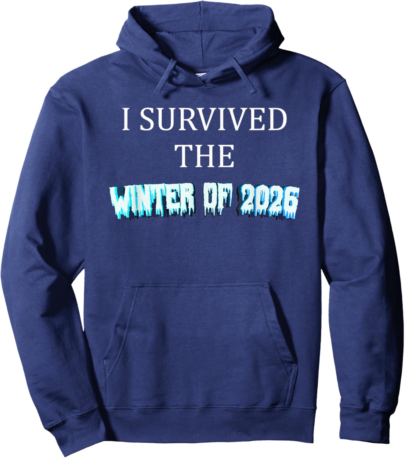 I Survived The Winter of 2026 Blizzard Frozen Snow Storm Hoodie - Hoodie | Navy