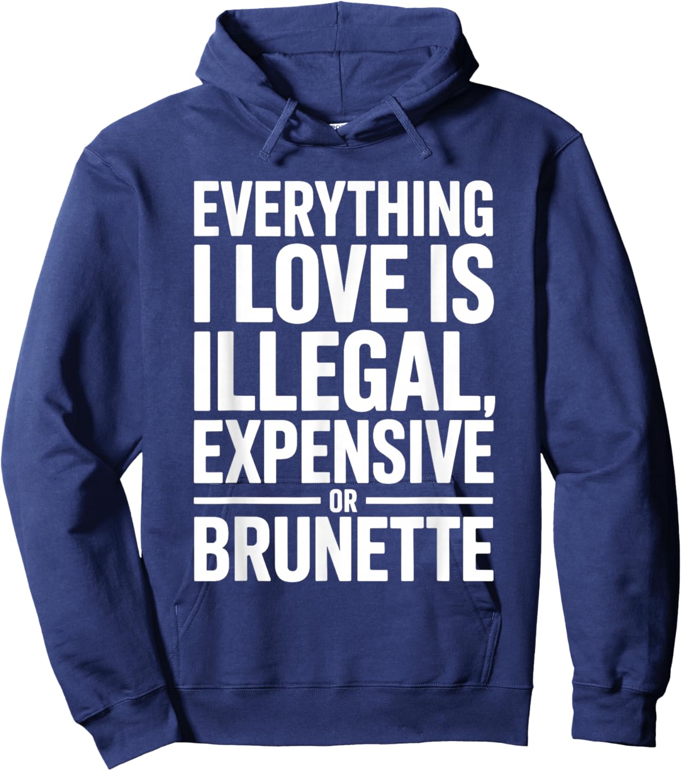 Everything I Love is Illegal Expensive Or Brunette Men Boys Hoodie - Hoodie | Navy