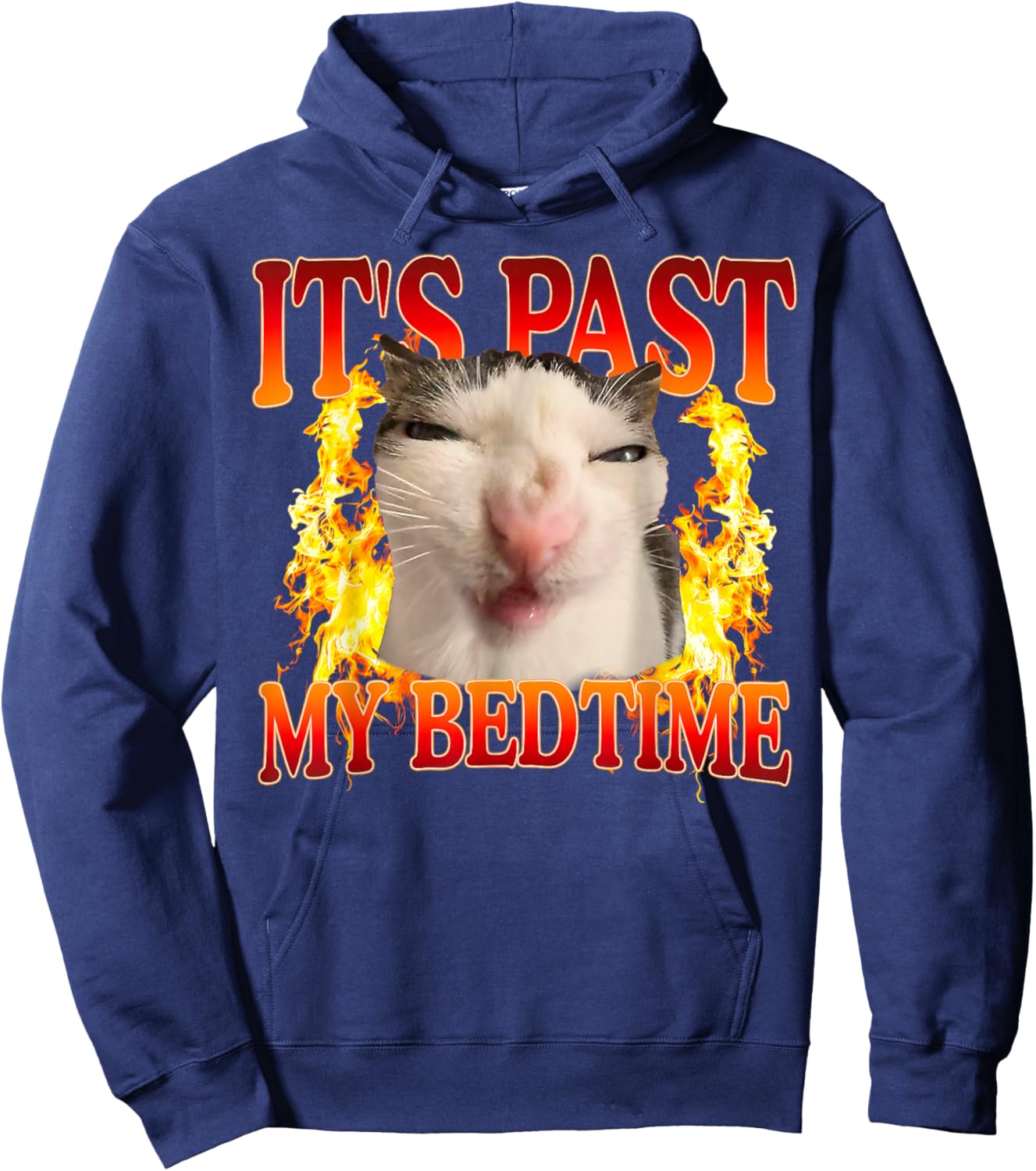Funny Cat Meme It's Past My Bedtime Humor Men Women Hoodie - Hoodie | Navy