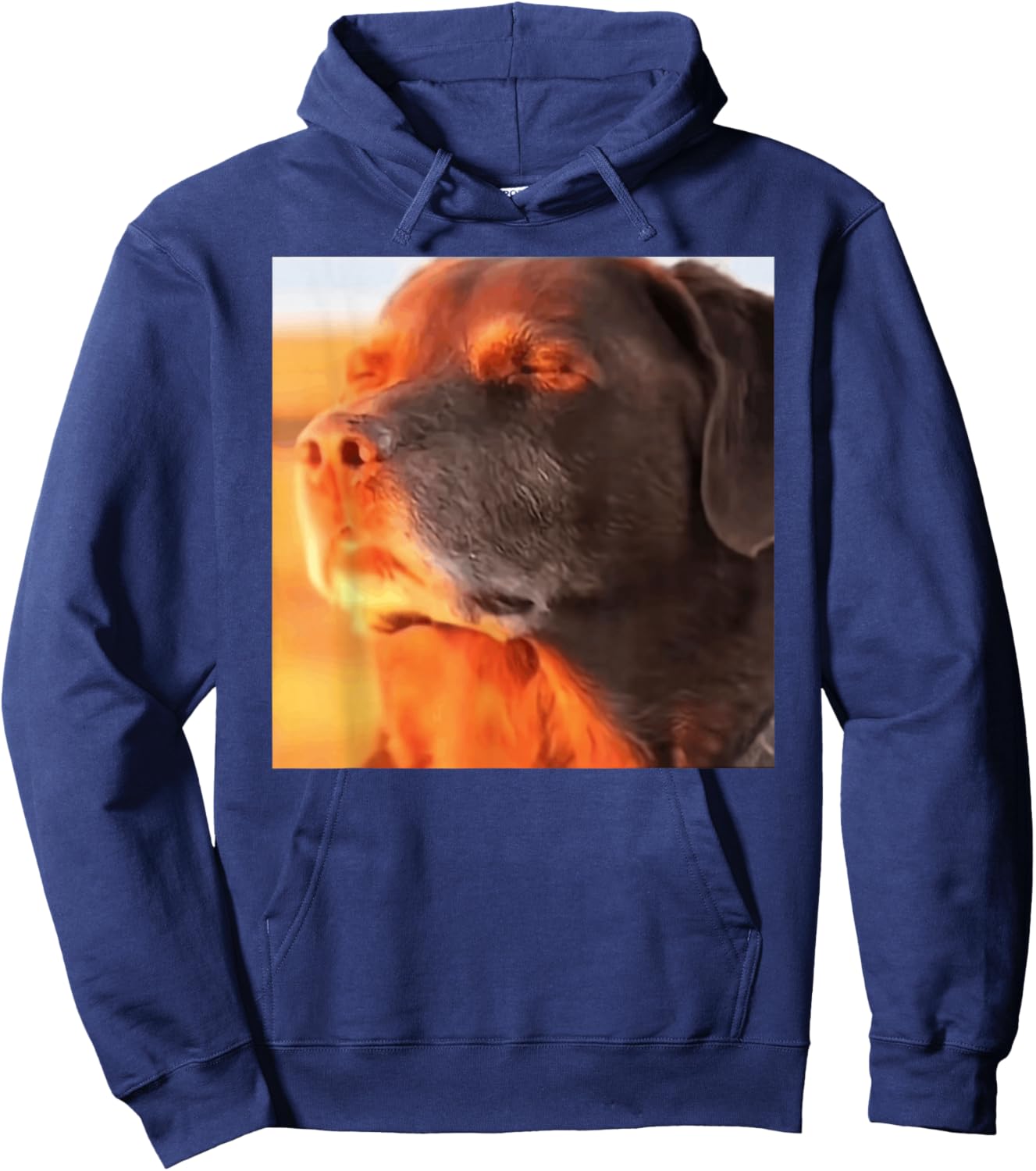 Dog in The Sunset Meme Hoodie - Hoodie | Navy