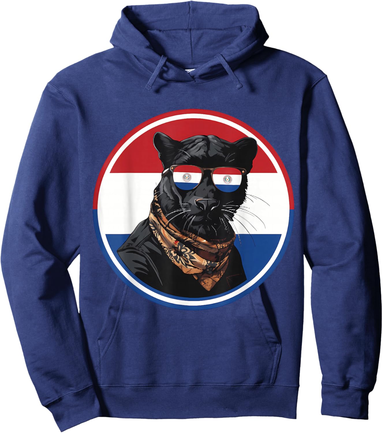 Paraguay Flag Paraguayan Roots Hoodie - Hoodie | Navy