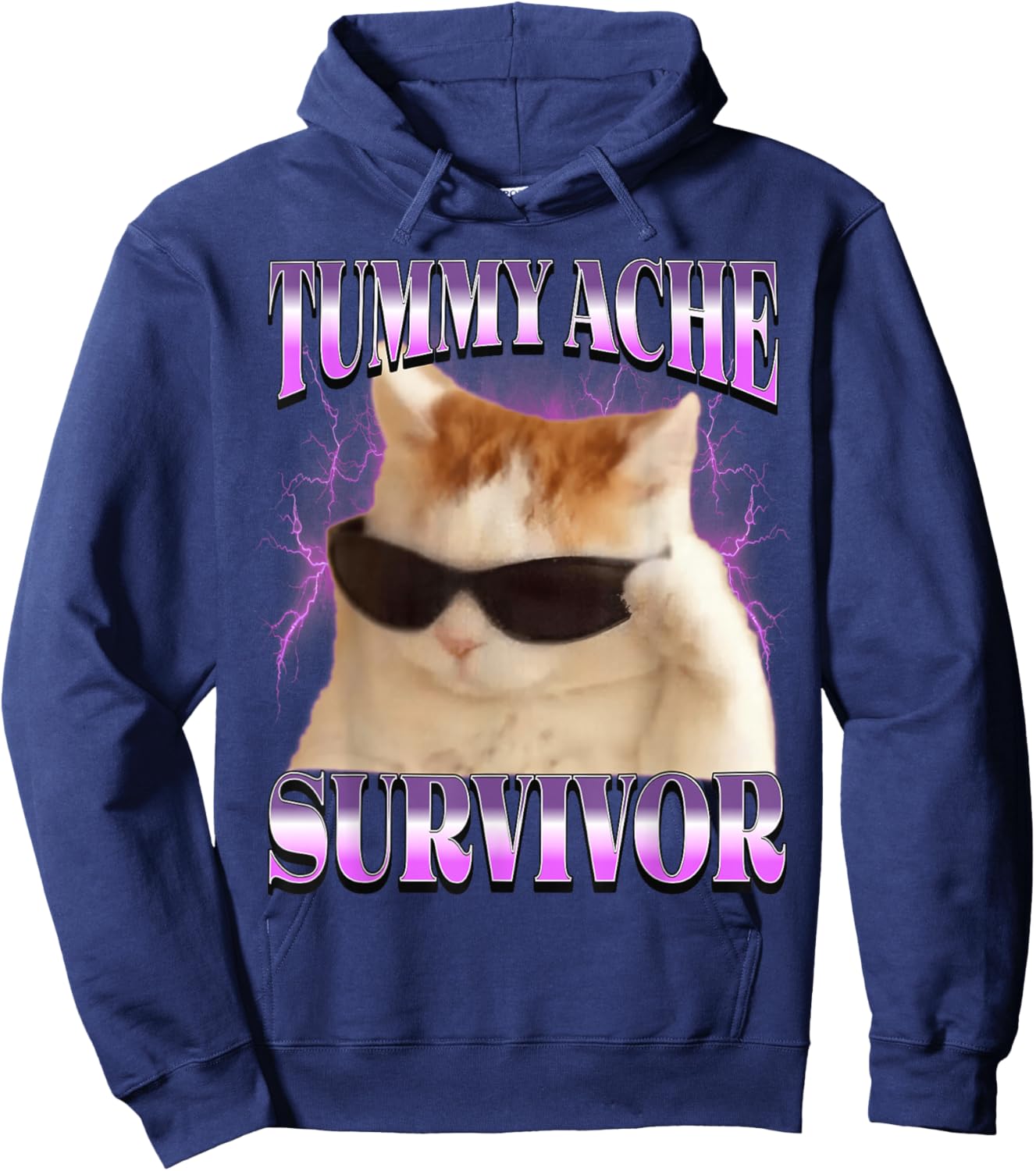 I Survived Today's Tummy Ache Cat Meme Funny Cats Hoodie - Hoodie | Navy