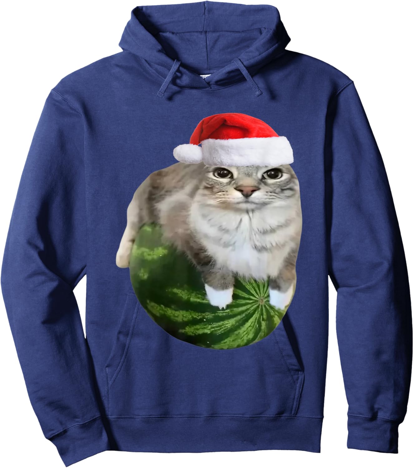Watermelon Cat Christmas Santa Hat Funny Meme Hoodie - Hoodie | Navy