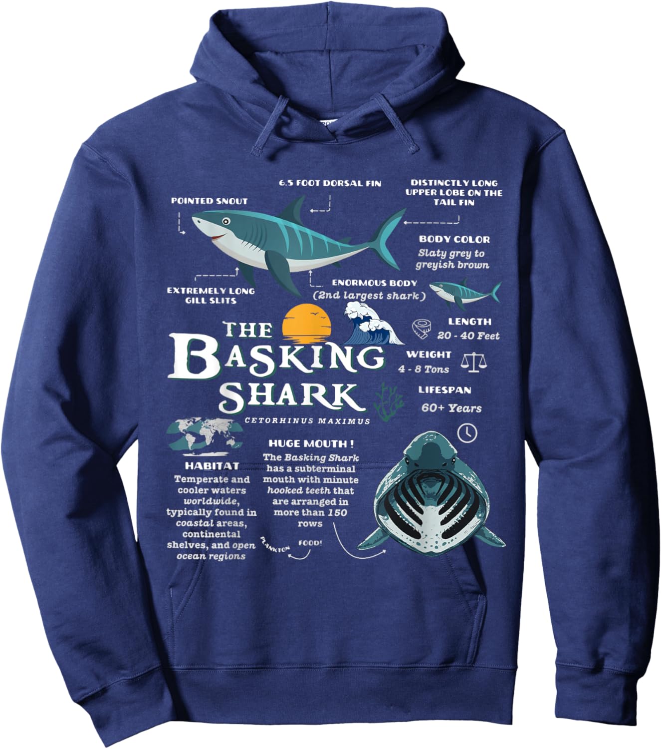 Basking Shark Anatomy Retro Wildlife Oceancore Animal Hoodie - Hoodie | Navy