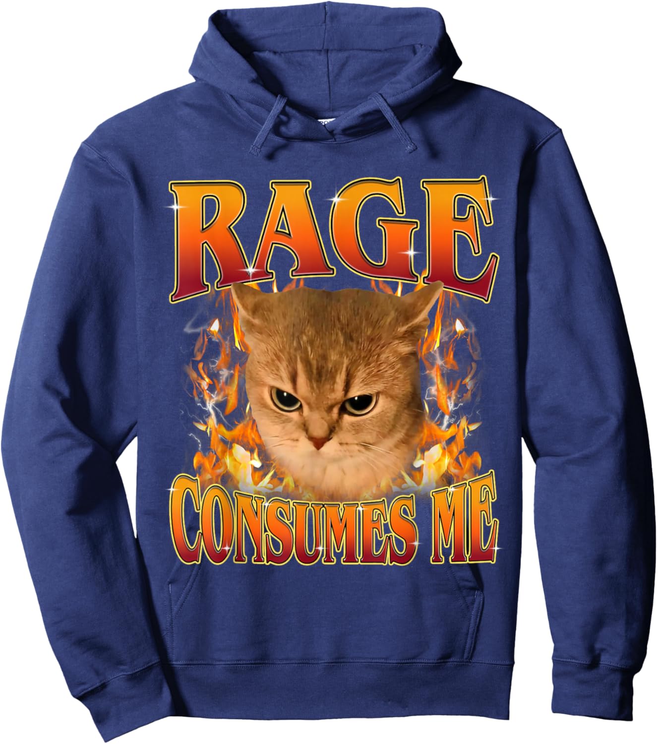 Rage Consumes Me Funny Silly Y2K Cat Meme Women Men Hoodie - Hoodie | Navy
