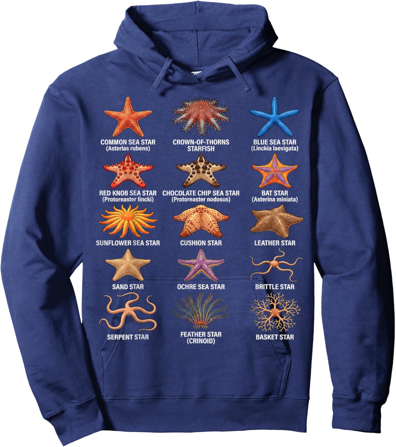 Types of Sea Stars, Sea Star Species Chart, Starfish Types Hoodie - Hoodie | Navy