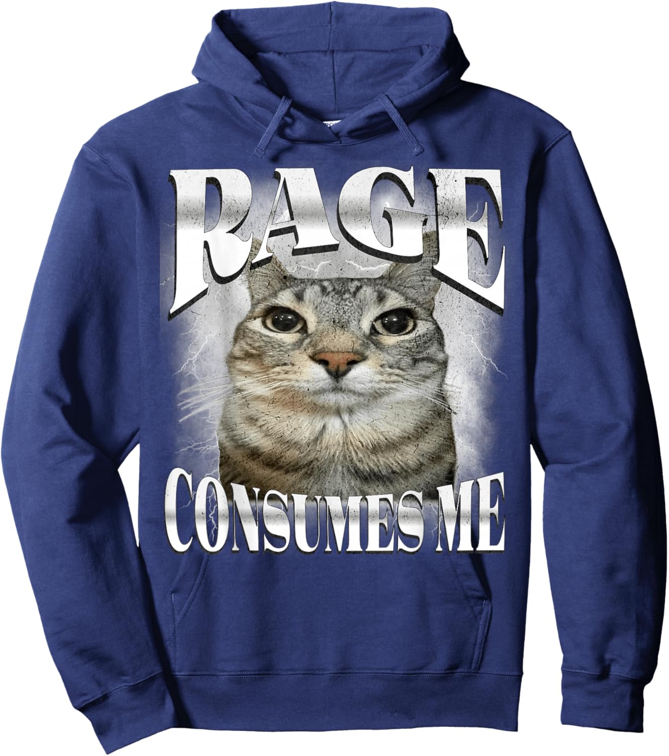 Rage Consumes Me Funny Silly Staring Cat Meme Women Men Hoodie - Hoodie | Navy