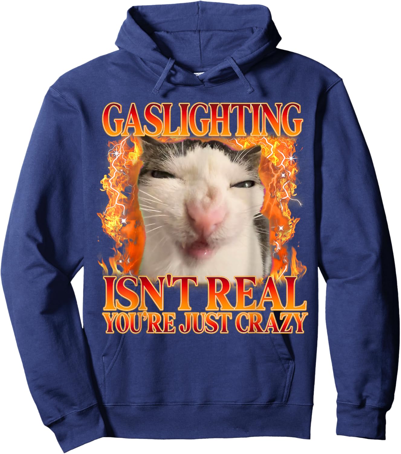 Funny Cat Meme Gaslighting Isn't Real You're Just Crazy Hoodie - Hoodie | Navy