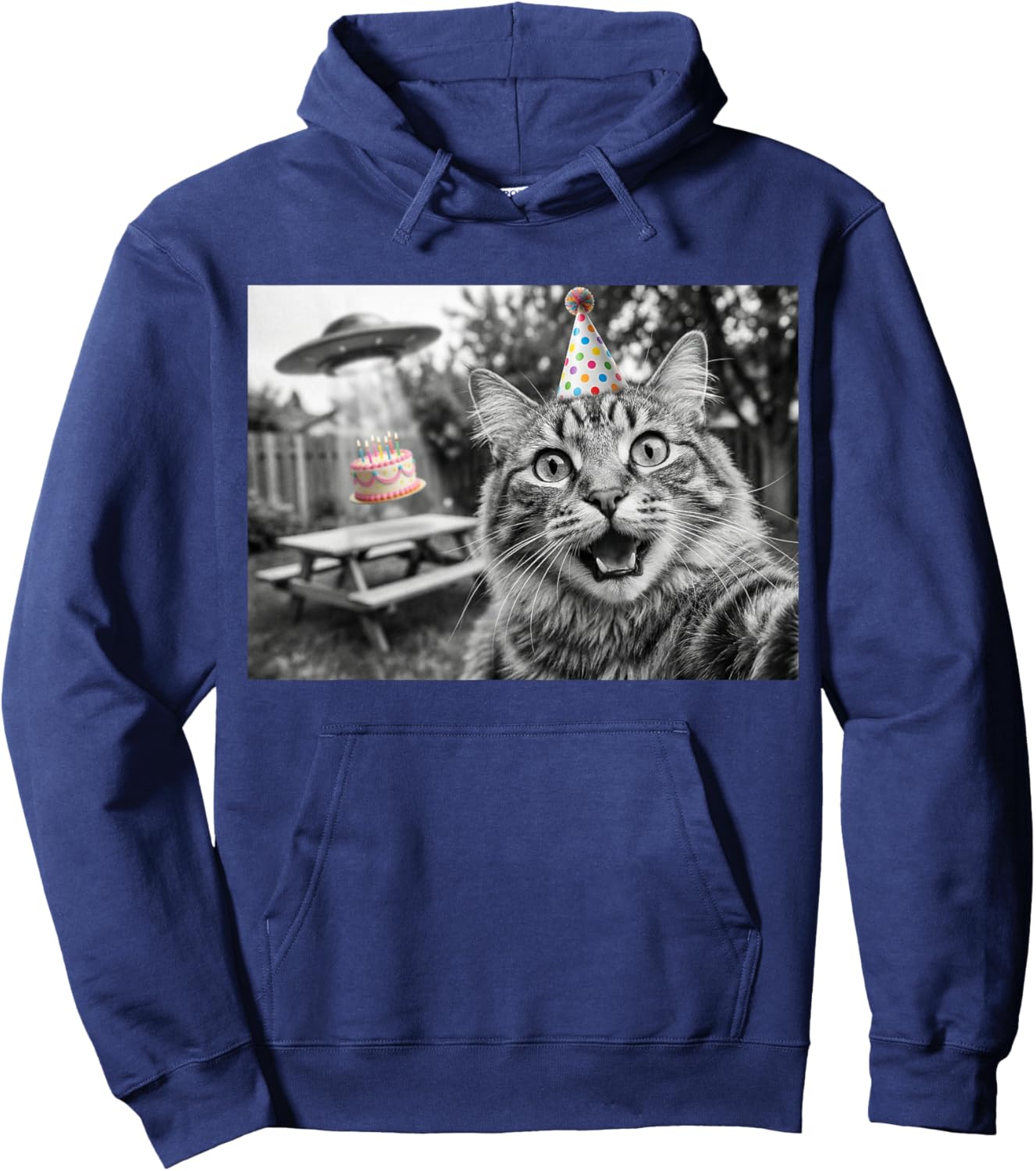 Cat Selfie Birthday Party UFO Alien Abduction Cake Funny Hoodie - Hoodie | Navy