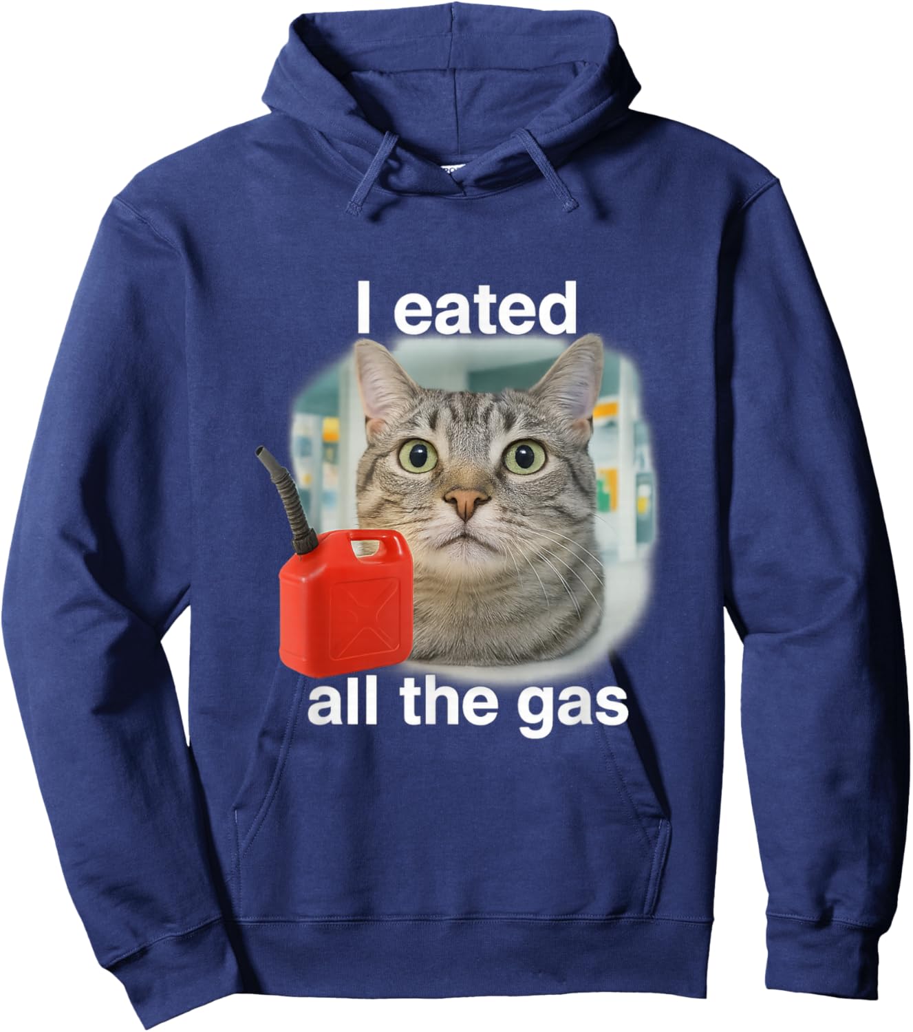 I Eated Wanted All The Gas Funny Unhinged Cat Humor Gen Z Hoodie - Hoodie | Navy