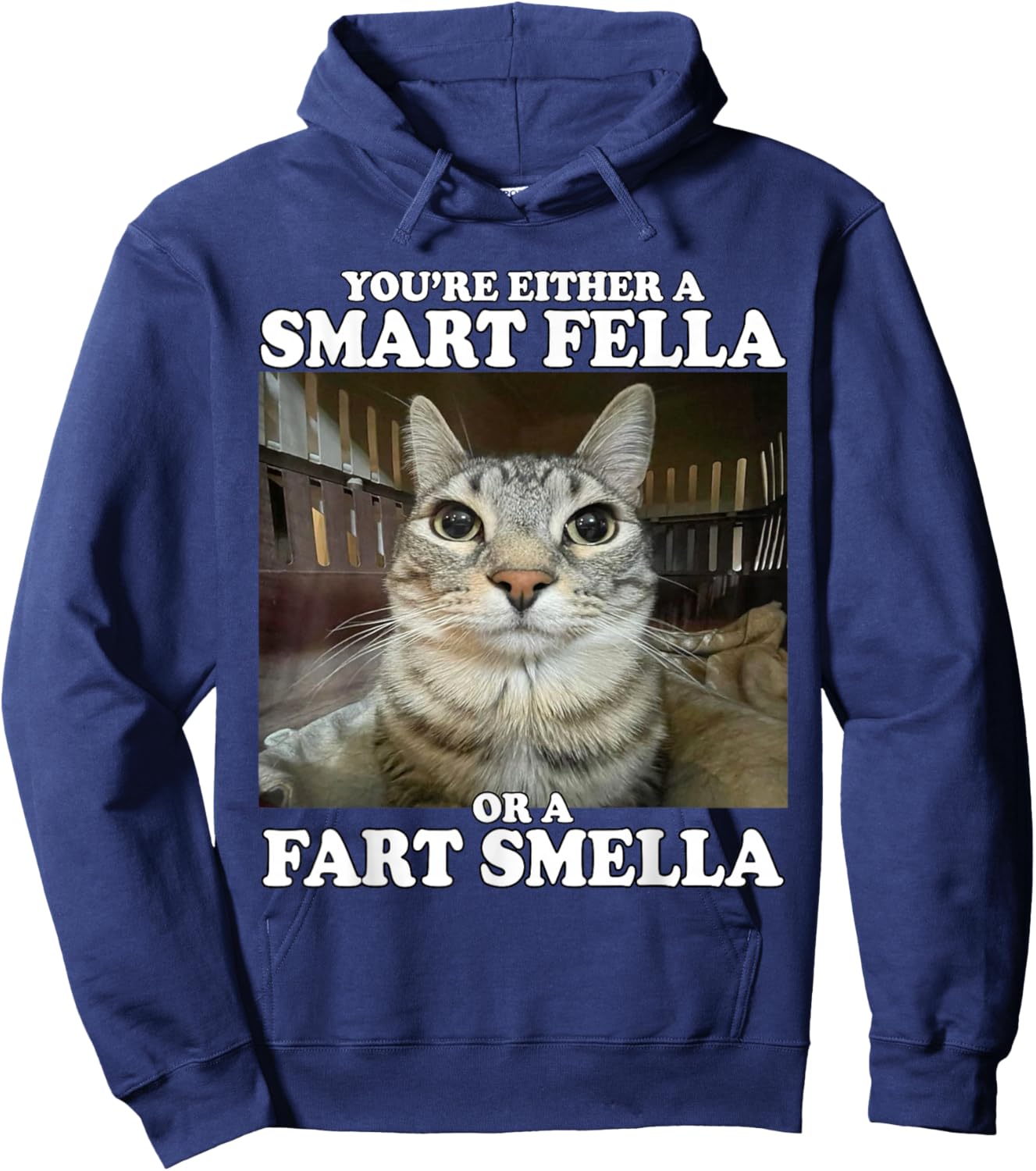 You're Either A Smart Fella Or A Fart Smella Funny Cat Meme Hoodie - Hoodie | Navy