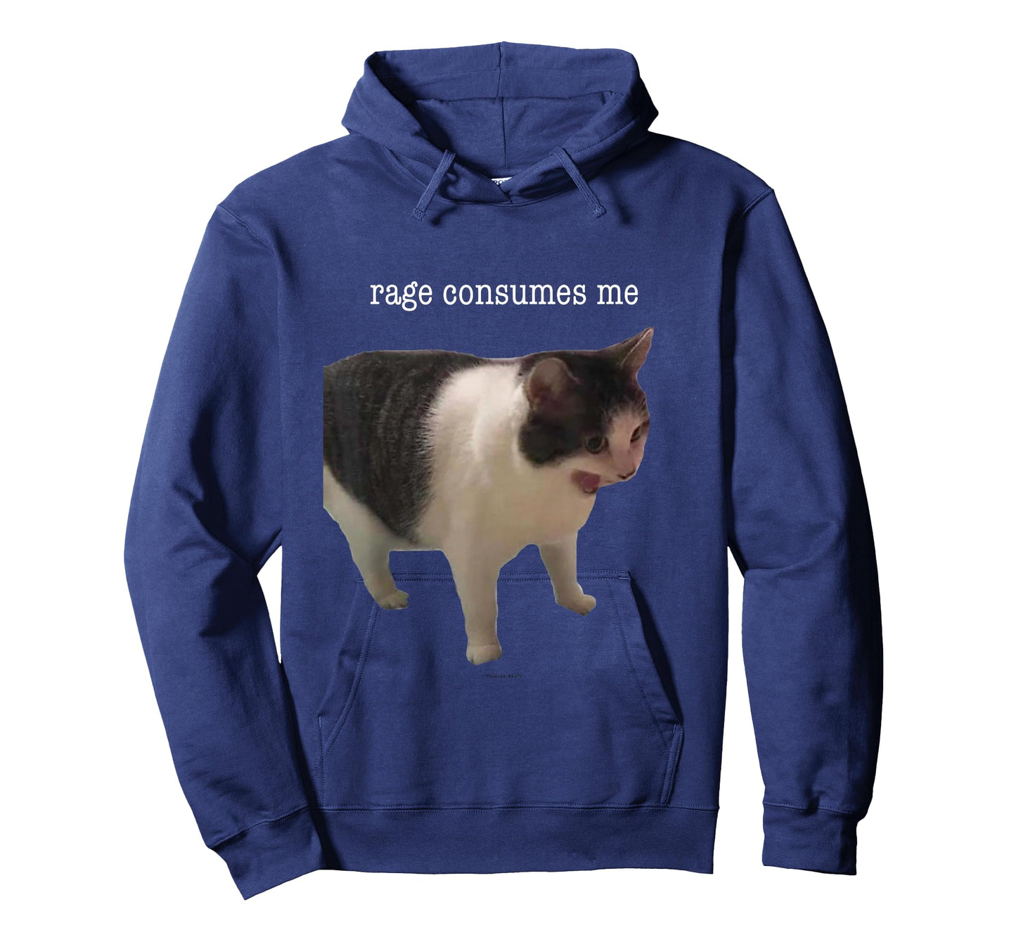 Rage Consumes Me Funny Cat Meme Men Women T-Shirt