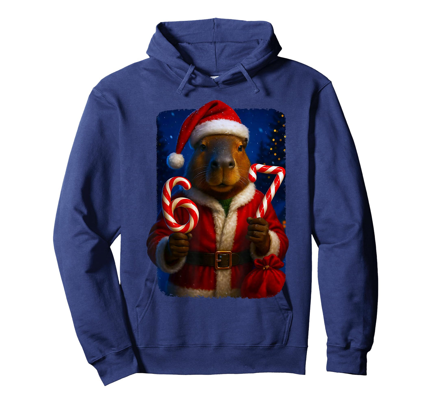 Funny 67 Santa Capybara Six Seven Ironic Christmas Meme T-Shirt