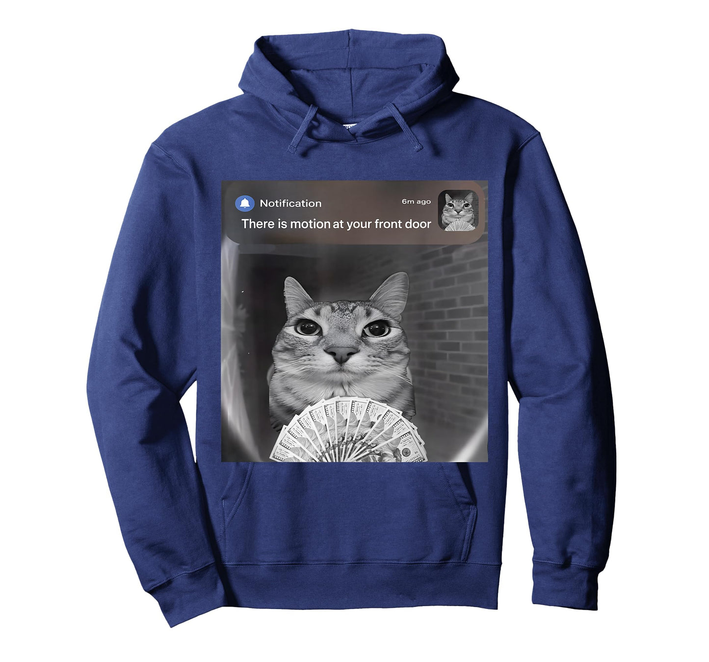 There is Motion at Your Front Door Funny Cat Motion Meme T-Shirt