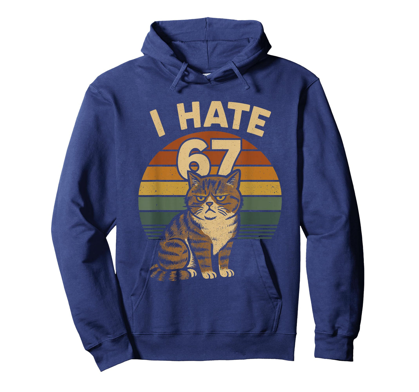 I Hate 67 Meme Cat Funny Internet Trend Humor Brainrot Youth T-Shirt