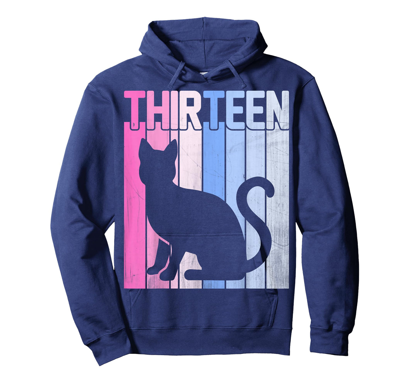Cute Pet Cat Lover 13 Years Old Thirteen Birthday T-Shirt