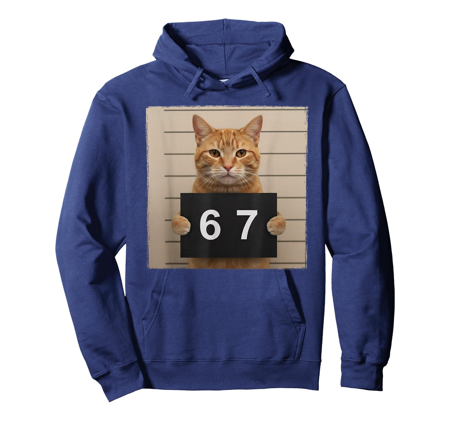 Funny Cat Mugshot Meme 67 Six Seven T-Shirt