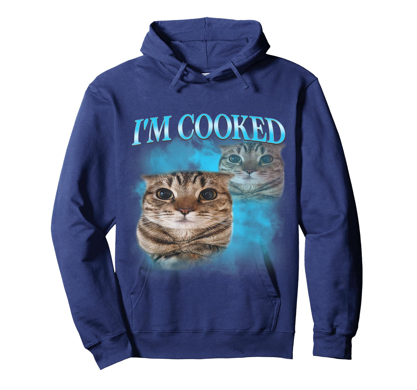 I'm Cooked Funny Gen Z Gen Alpha Silly Cat Meme Vintage T-Shirt