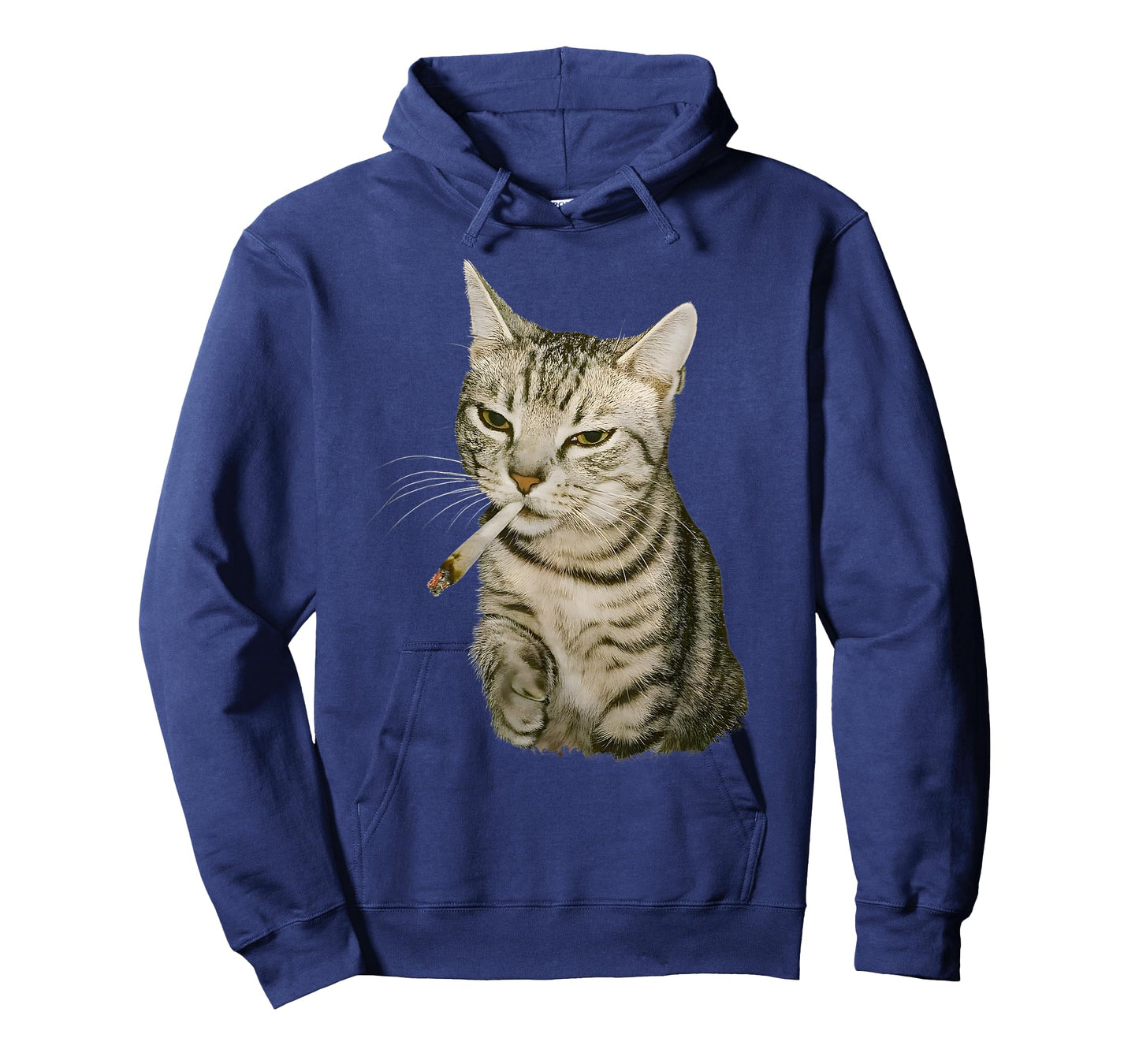 Funny Smoking Cat, Cigarette Kitty Gen Z Meme, Cat Lover T-Shirt