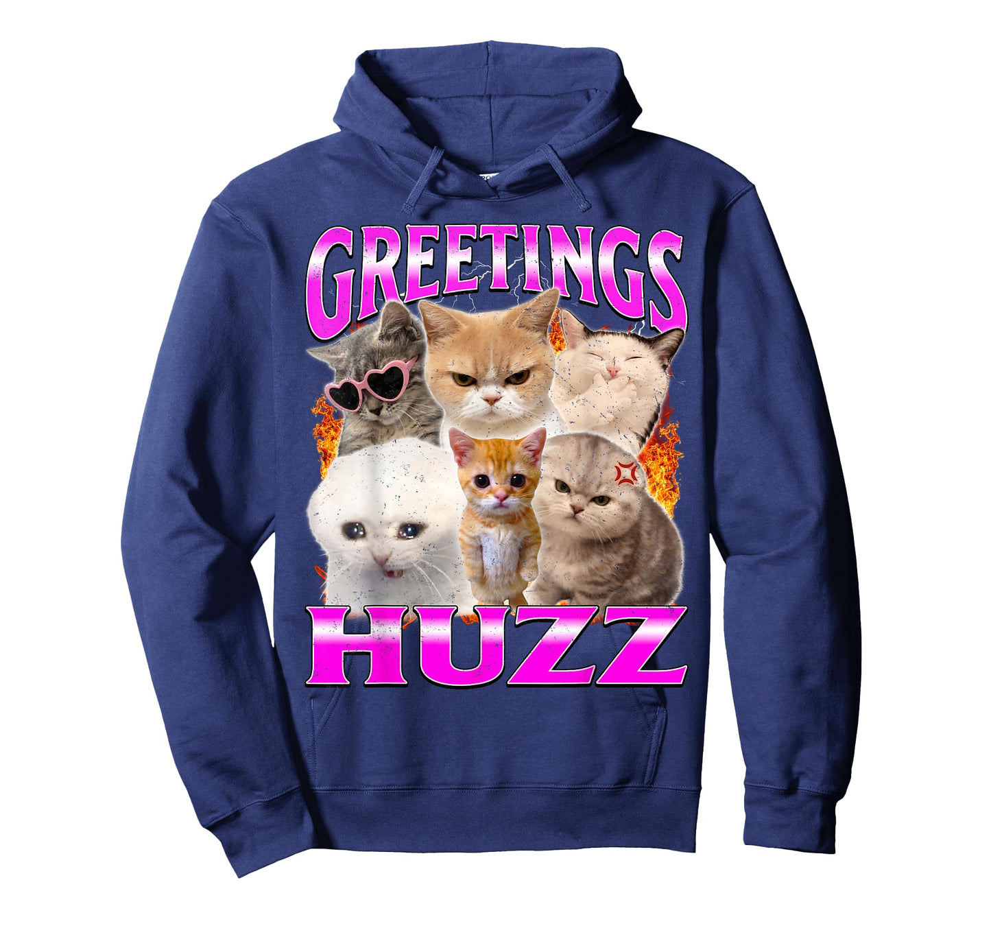 Greetings Huzz Funny Silly Cats Meme T-Shirt